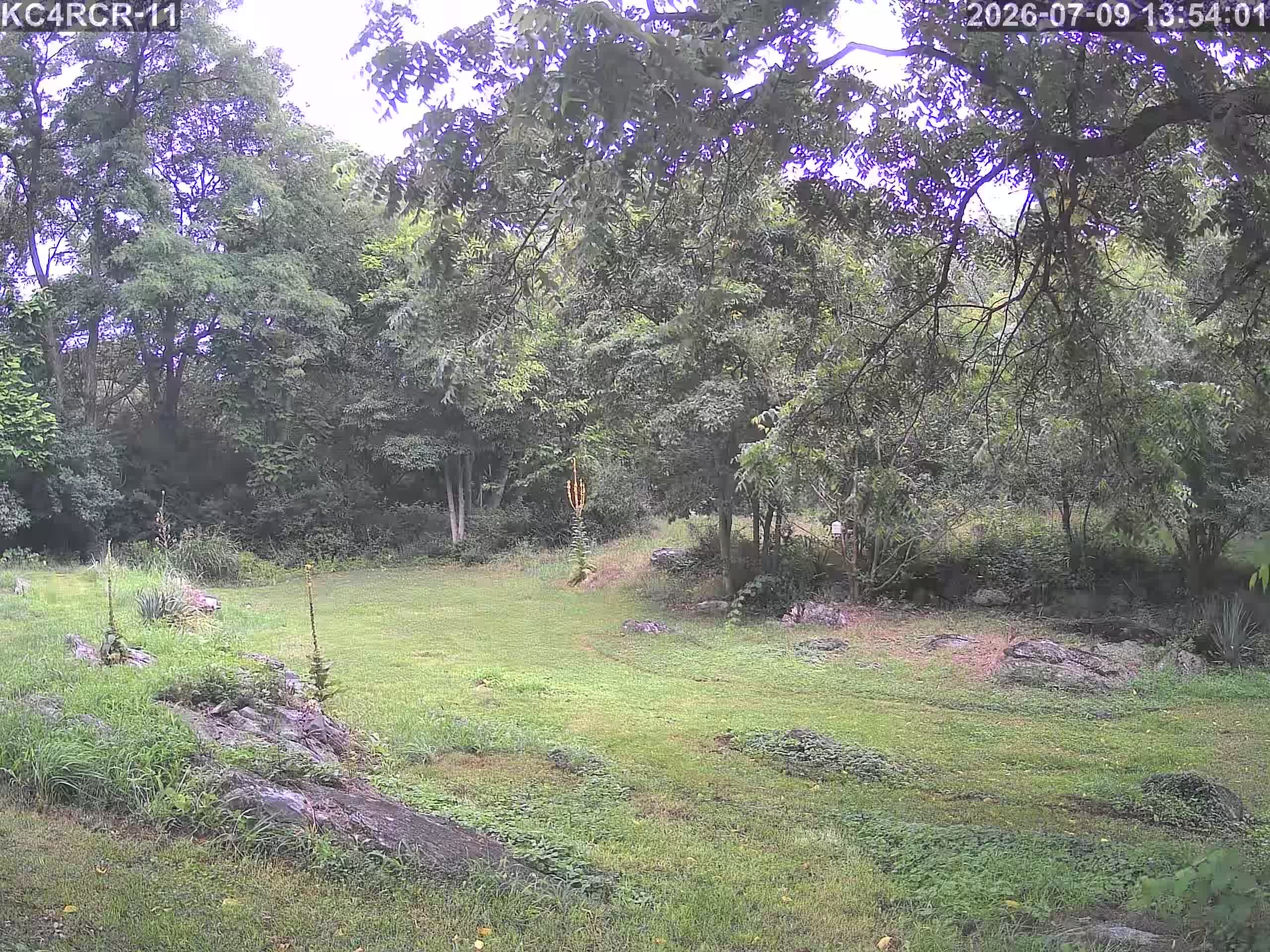 Outside camera view