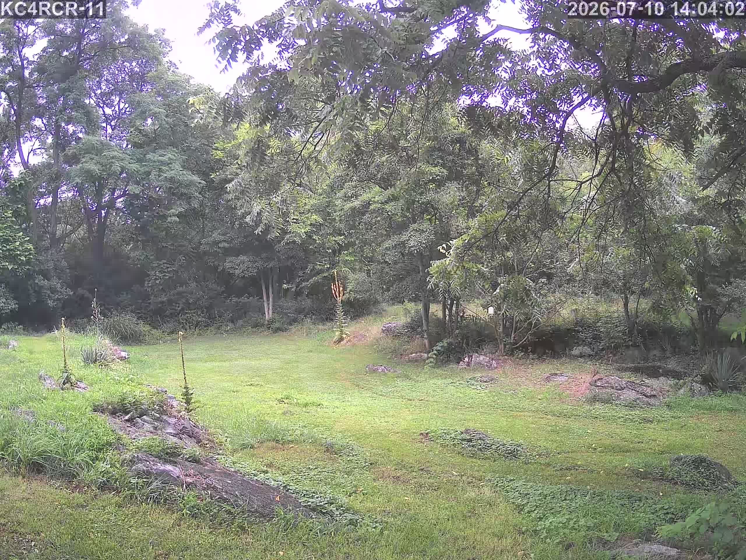 Outside camera view