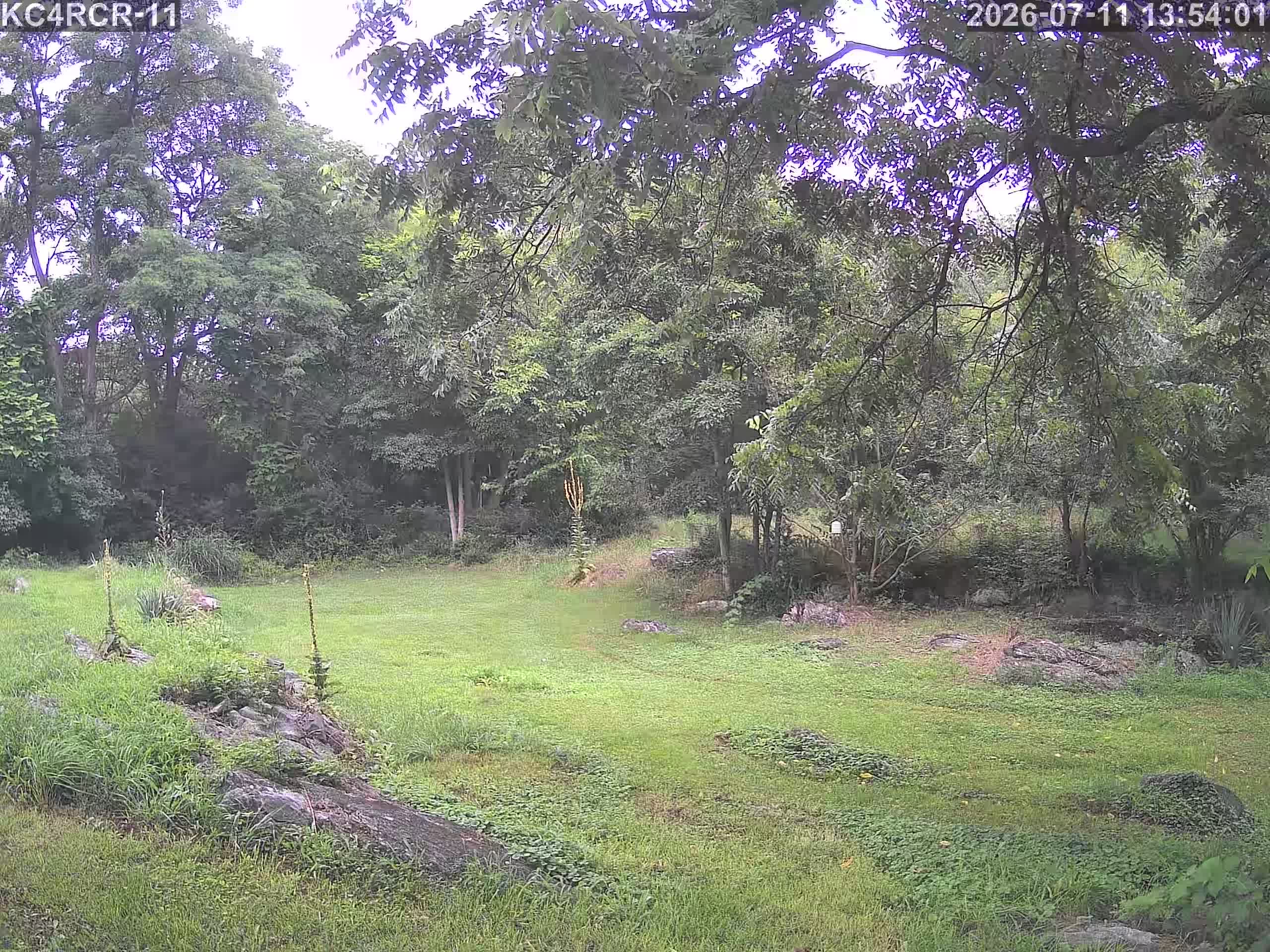 Outside camera view
