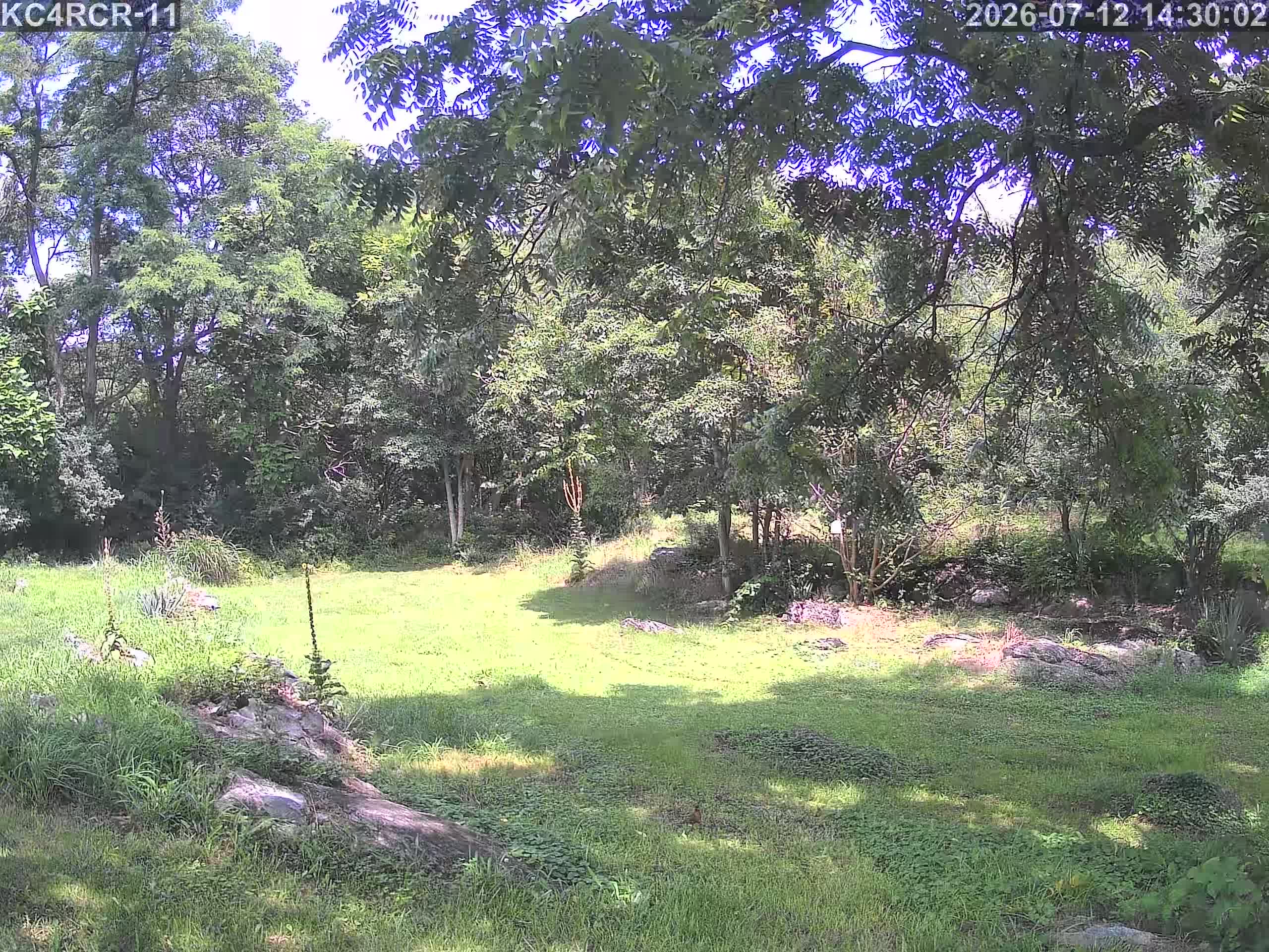 Outside camera view