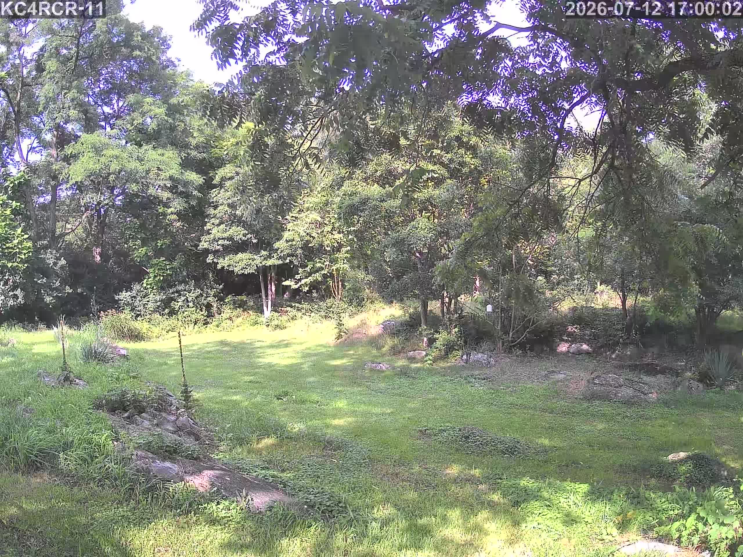 Outside camera view