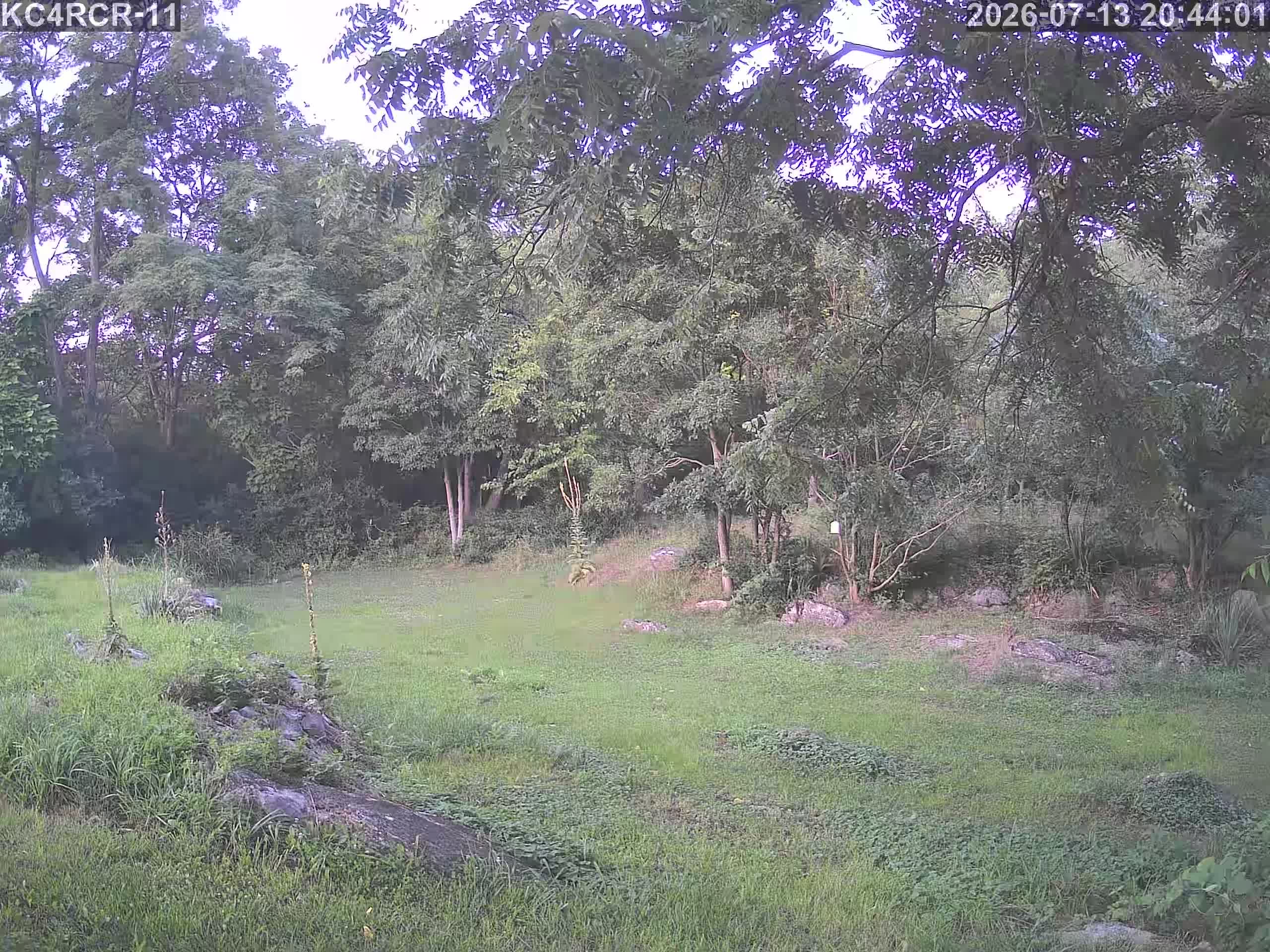 Outside camera view