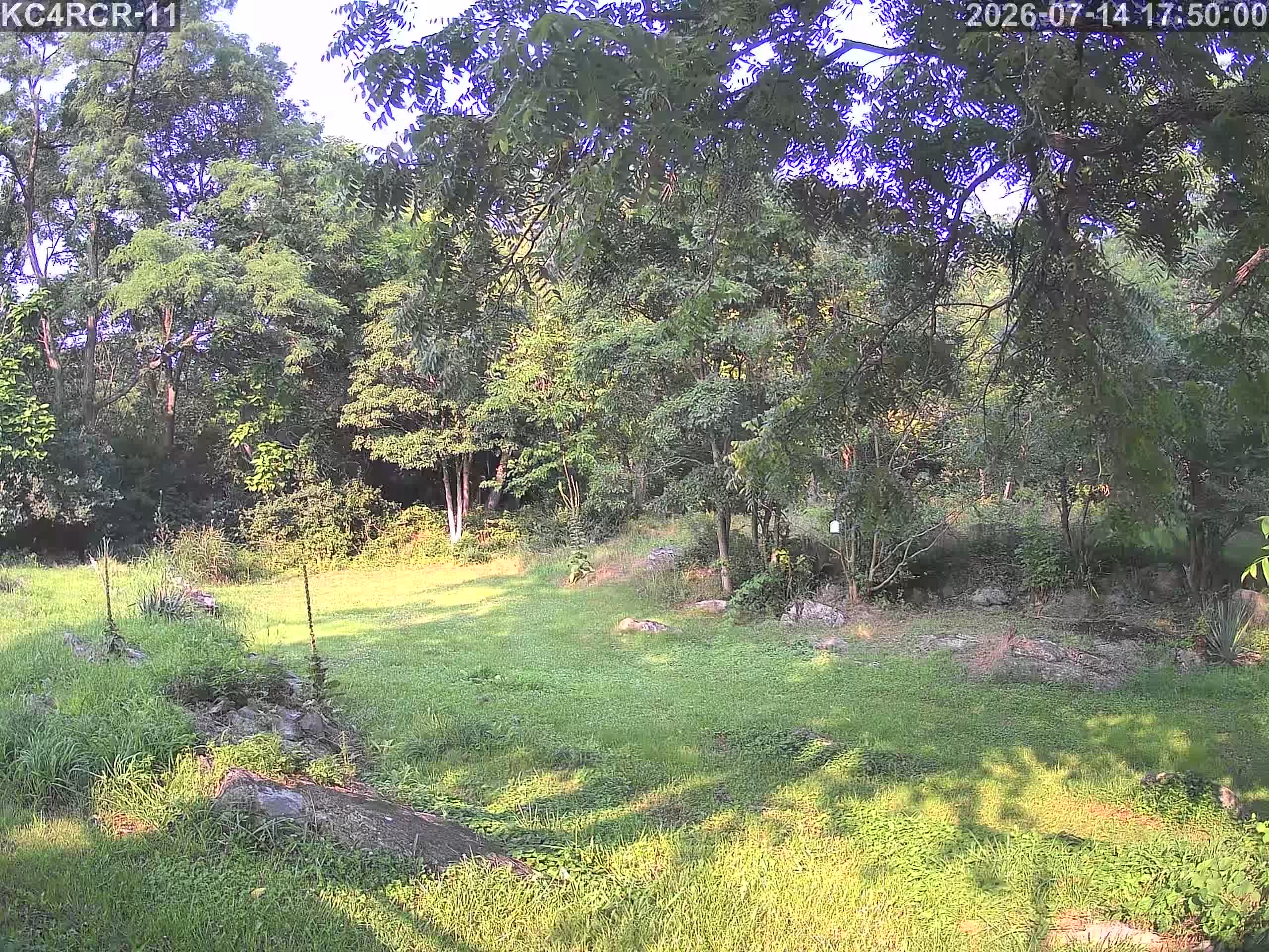 Outside camera view