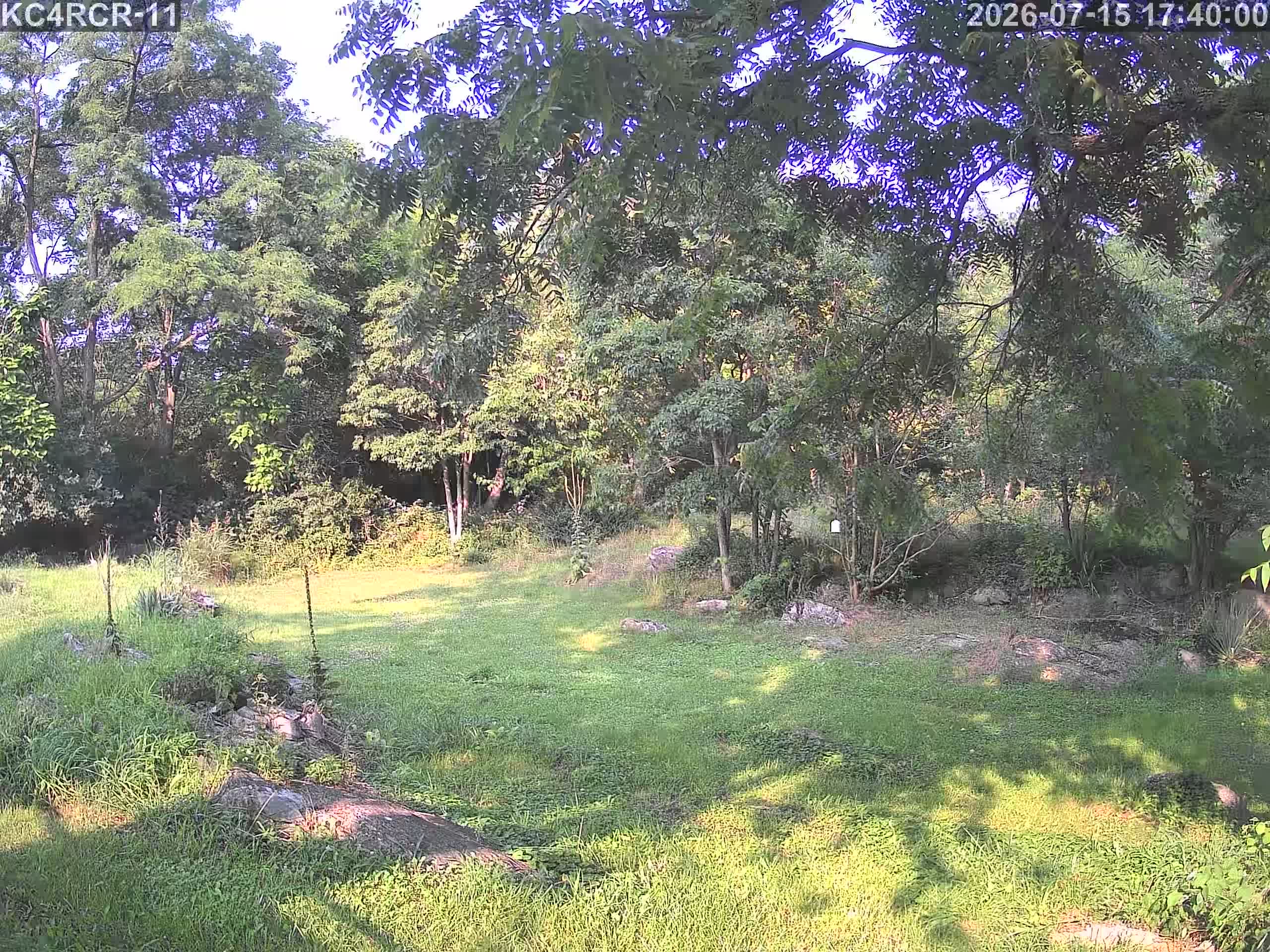Outside camera view