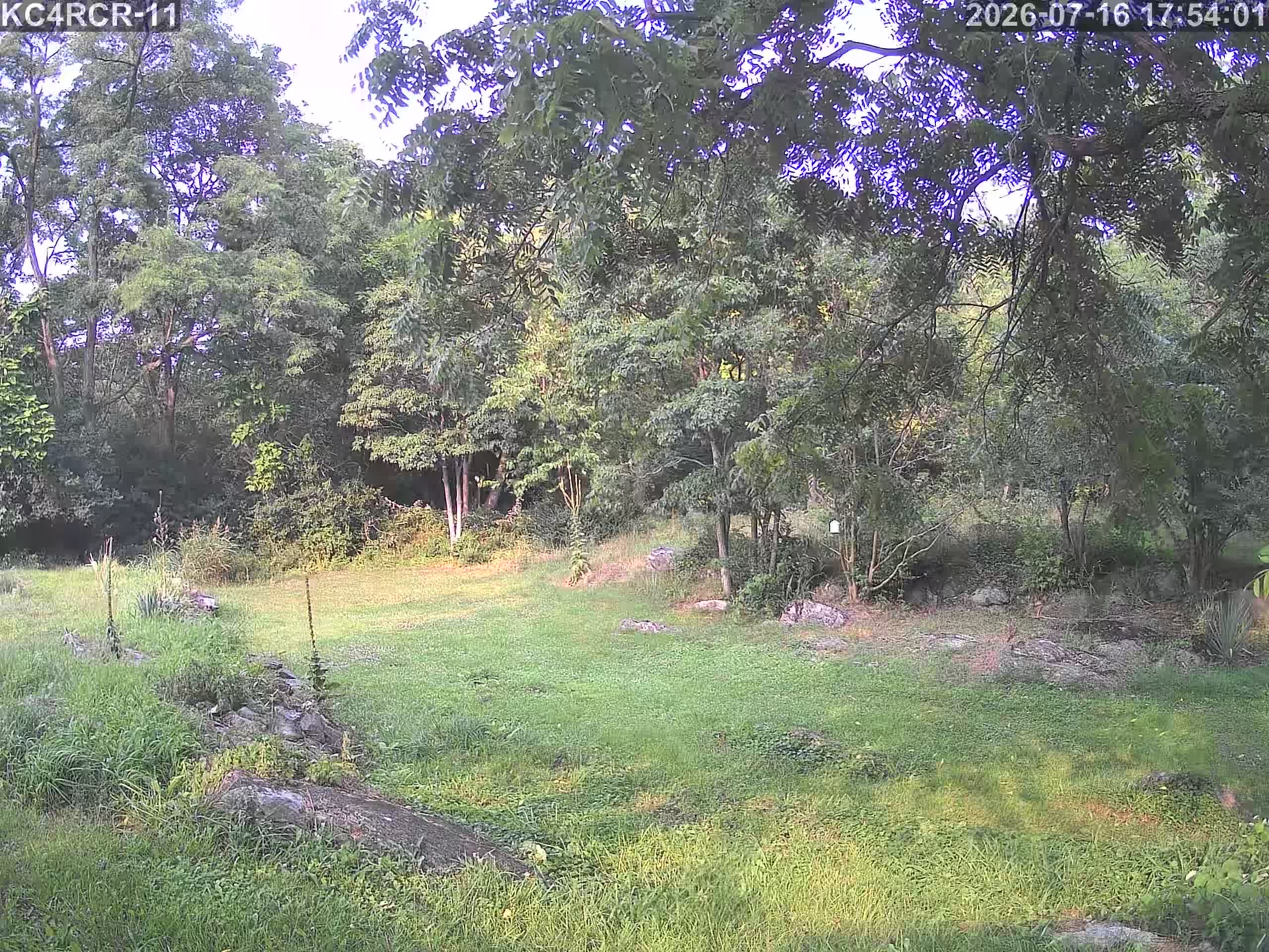 Outside camera view