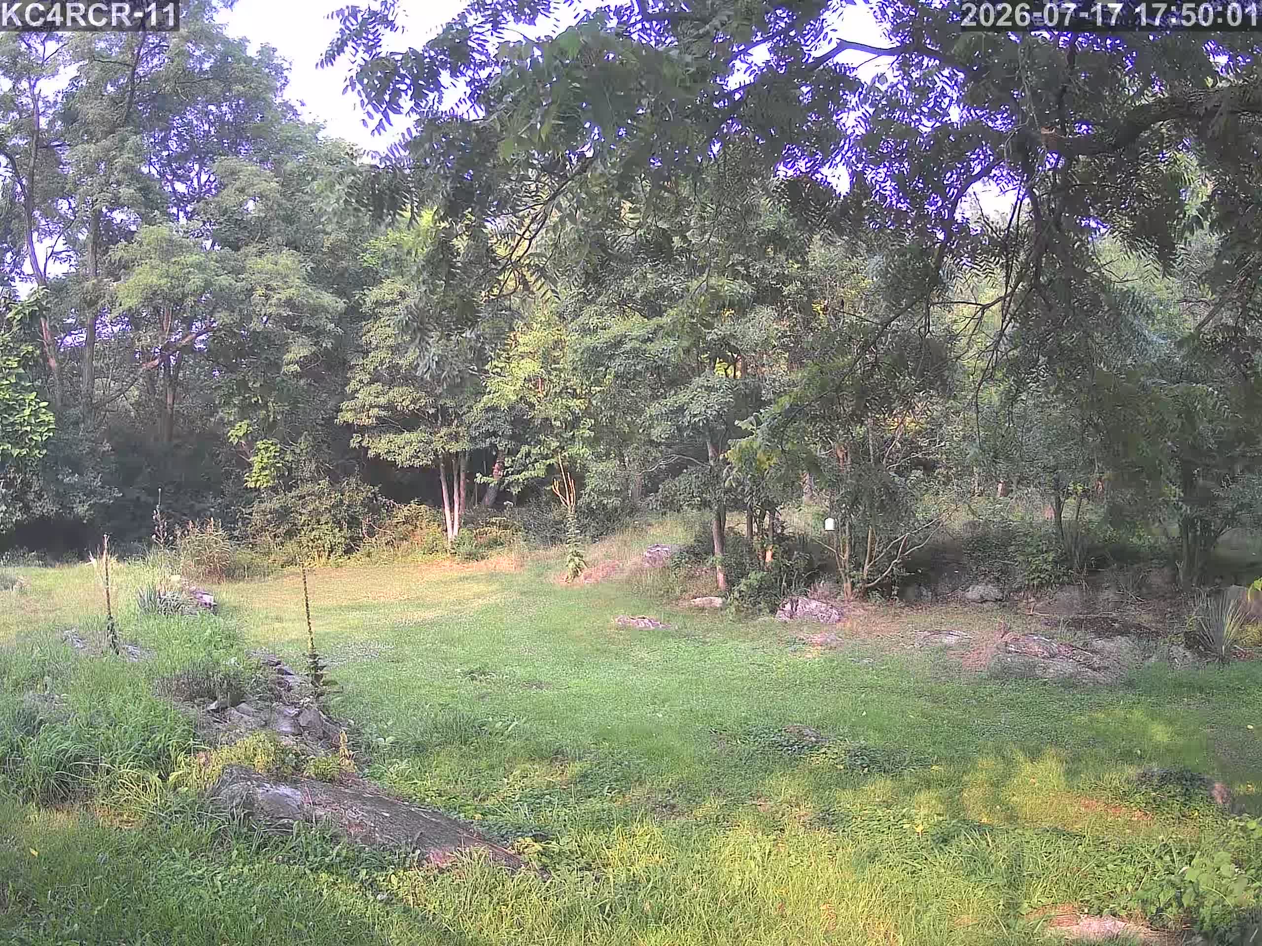 Outside camera view