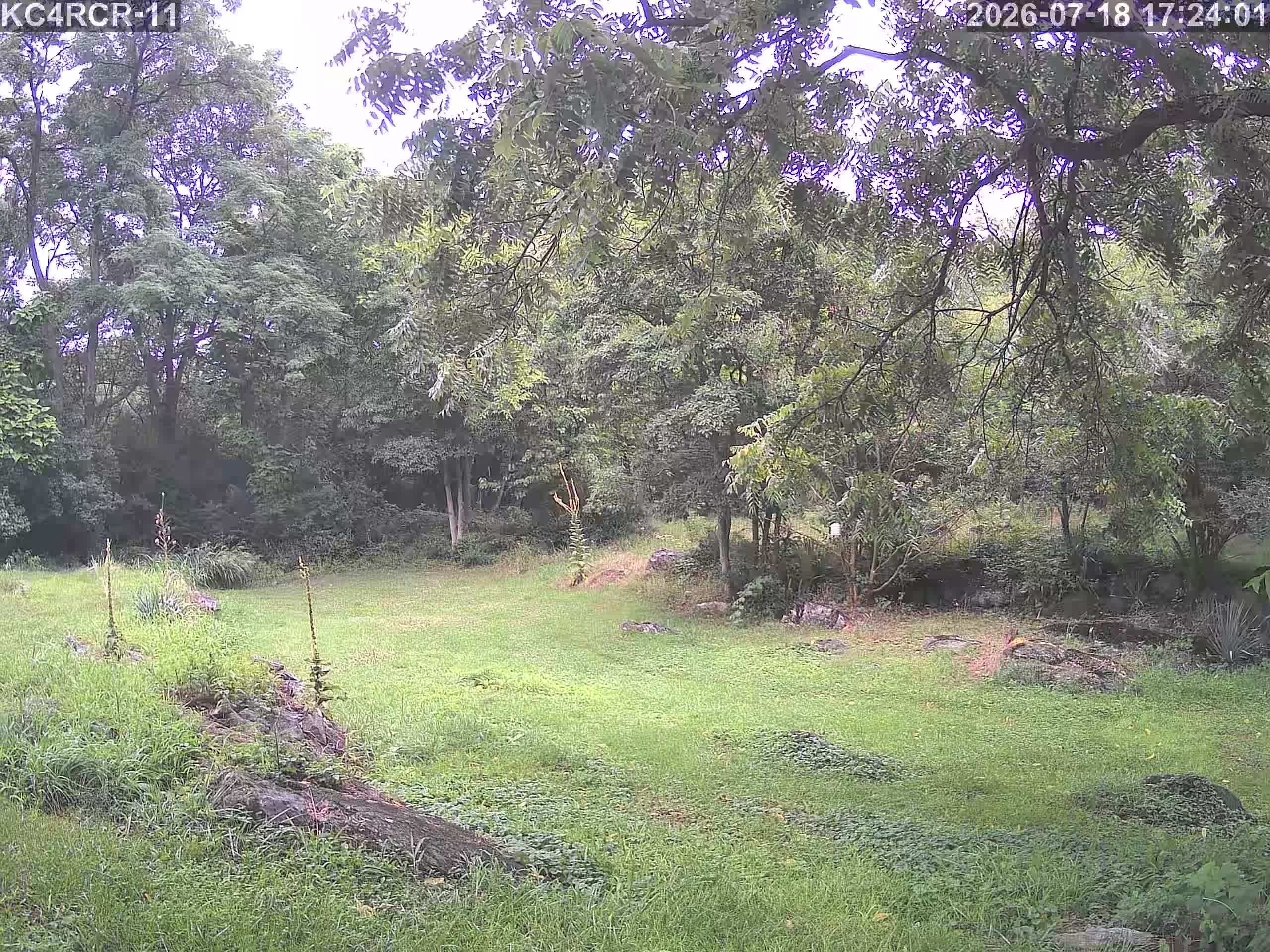 Outside camera view