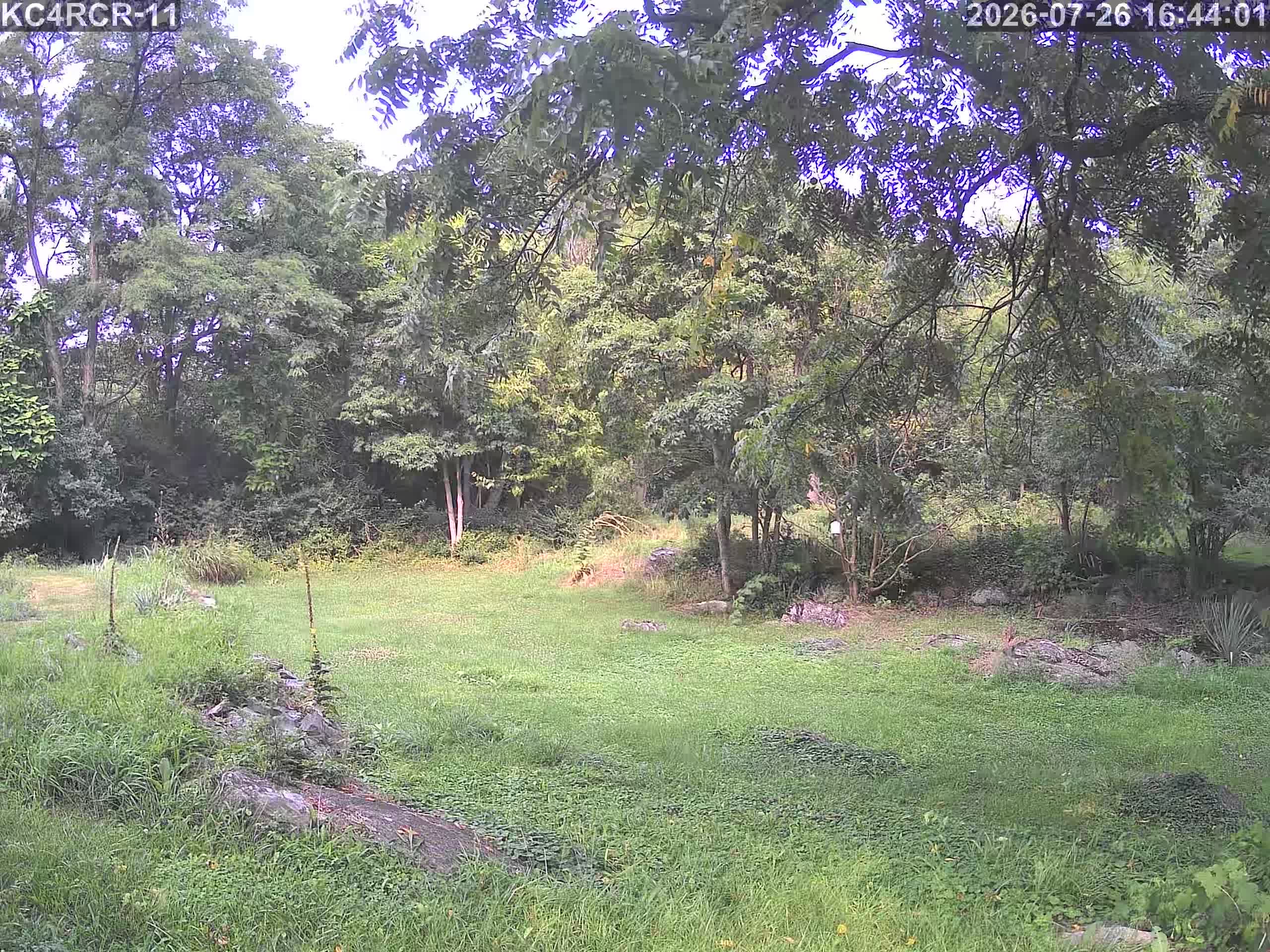 Outside camera view