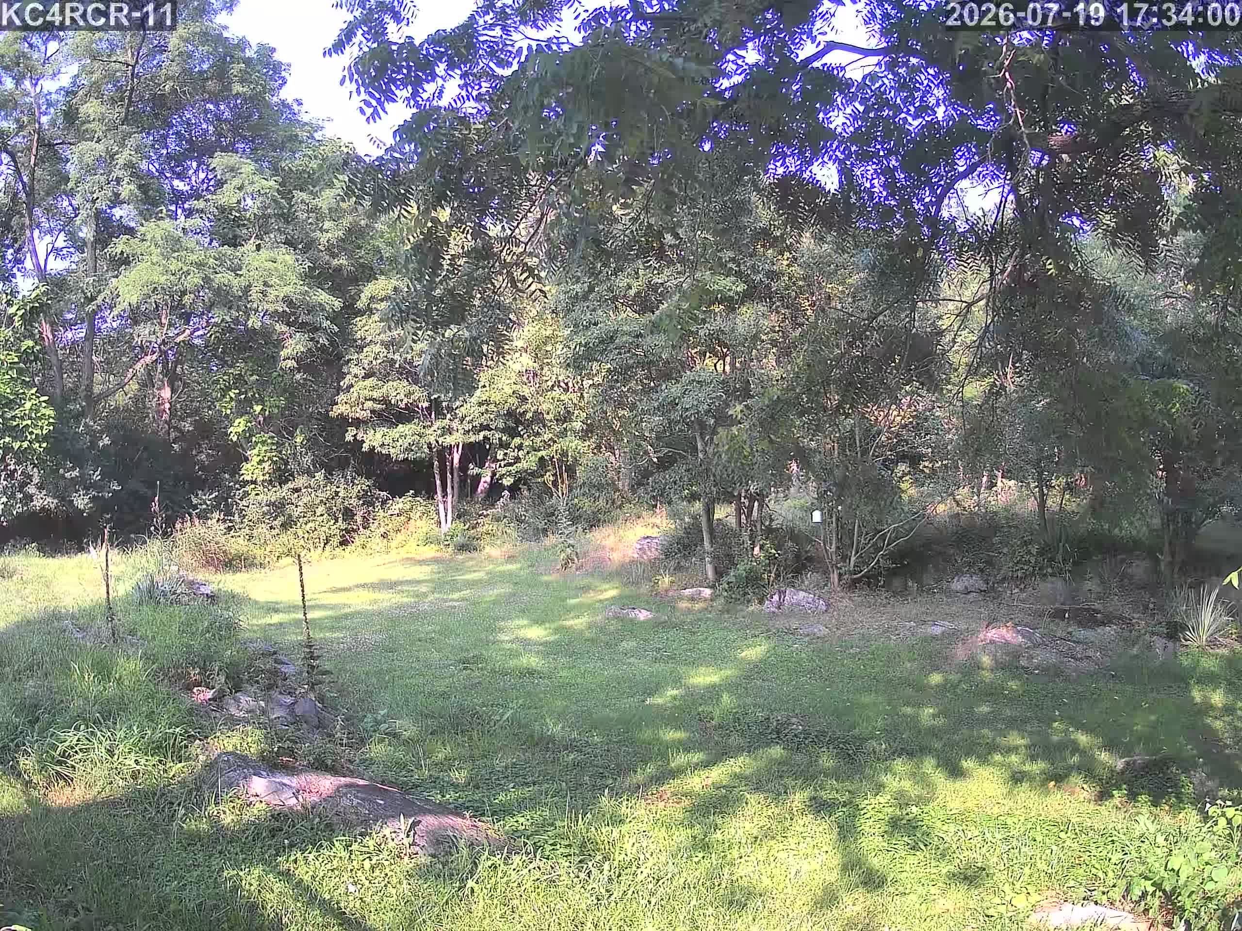 Outside camera view