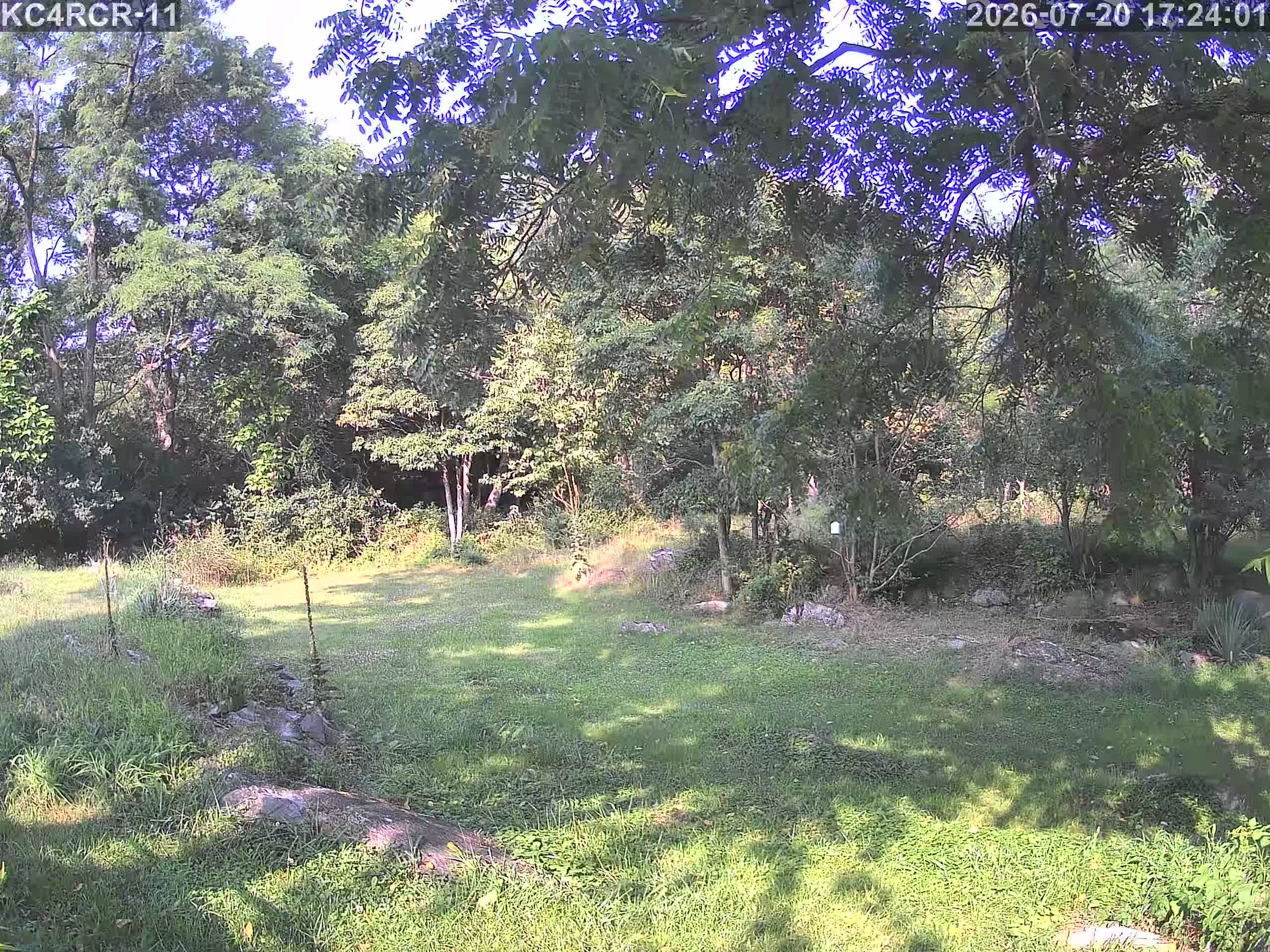 Outside camera view