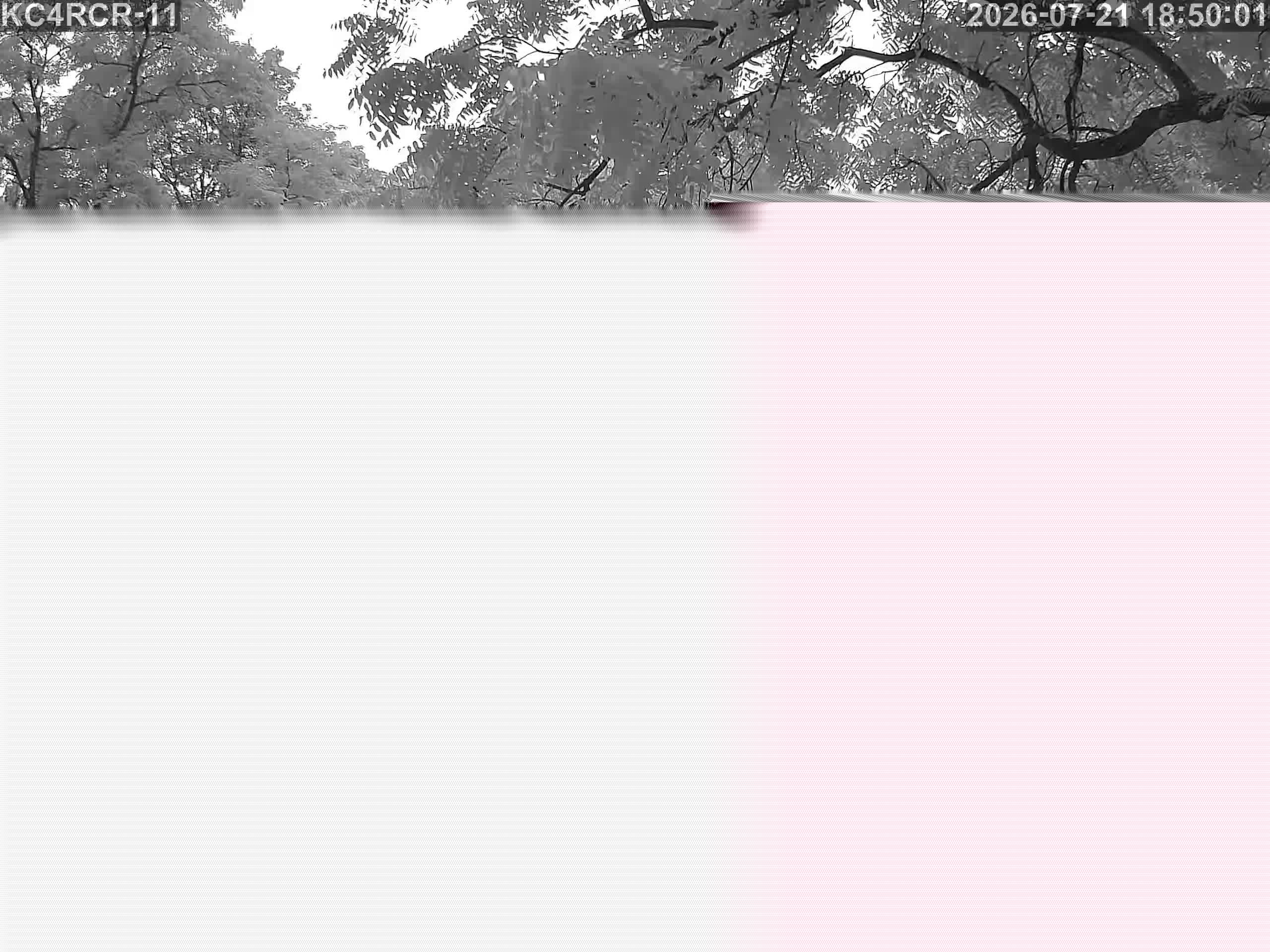 Outside camera view