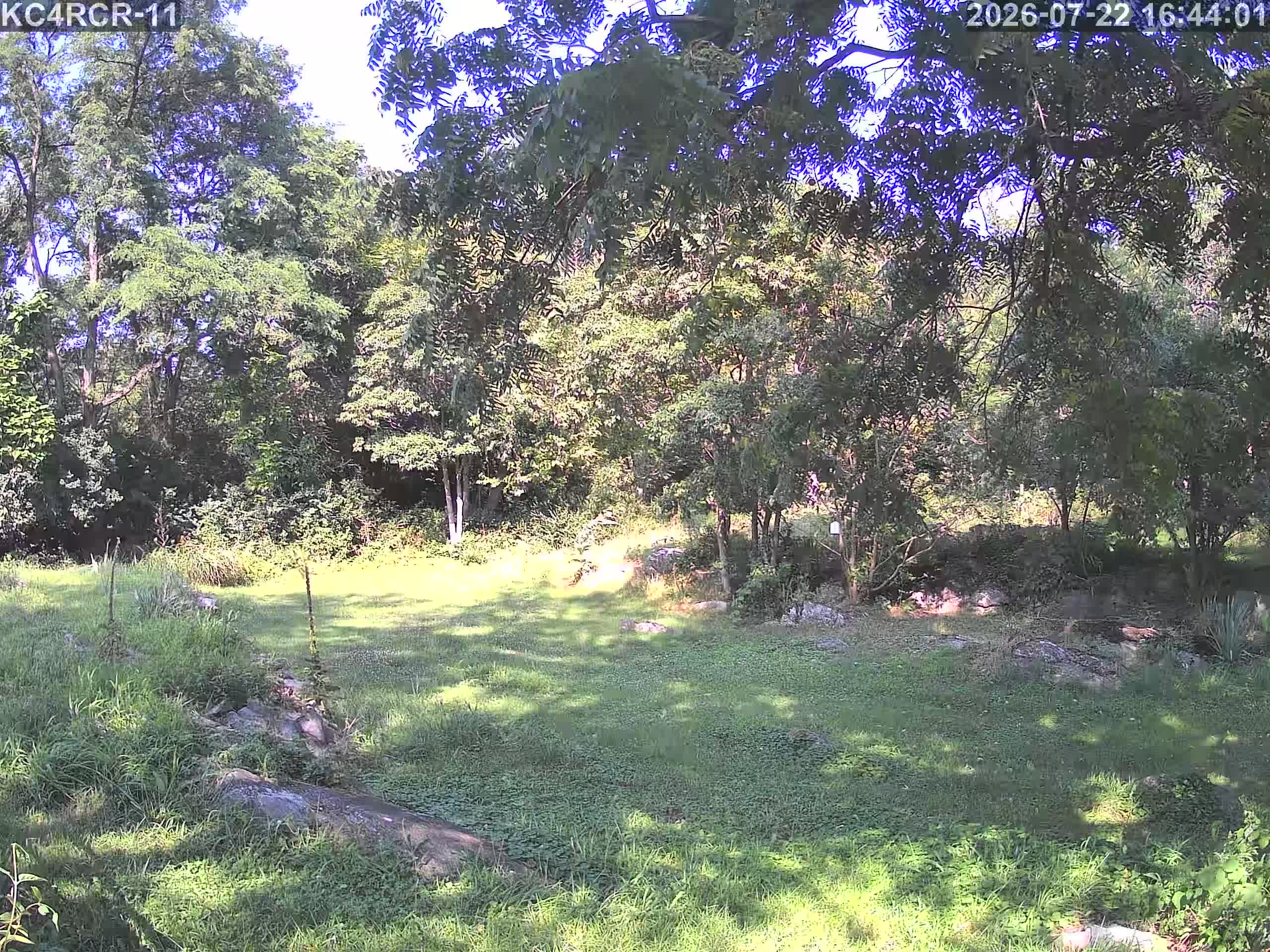Outside camera view