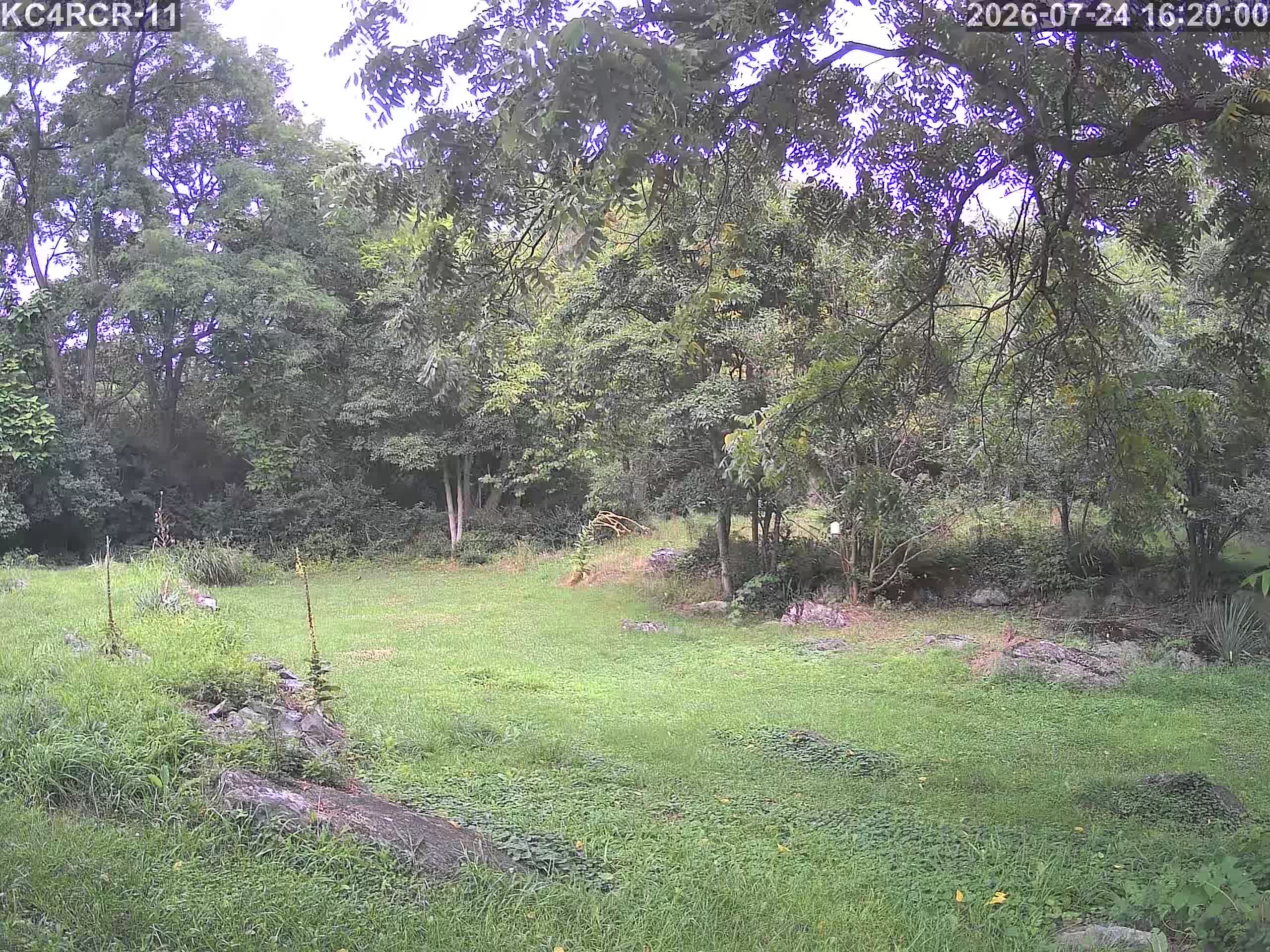 Outside camera view