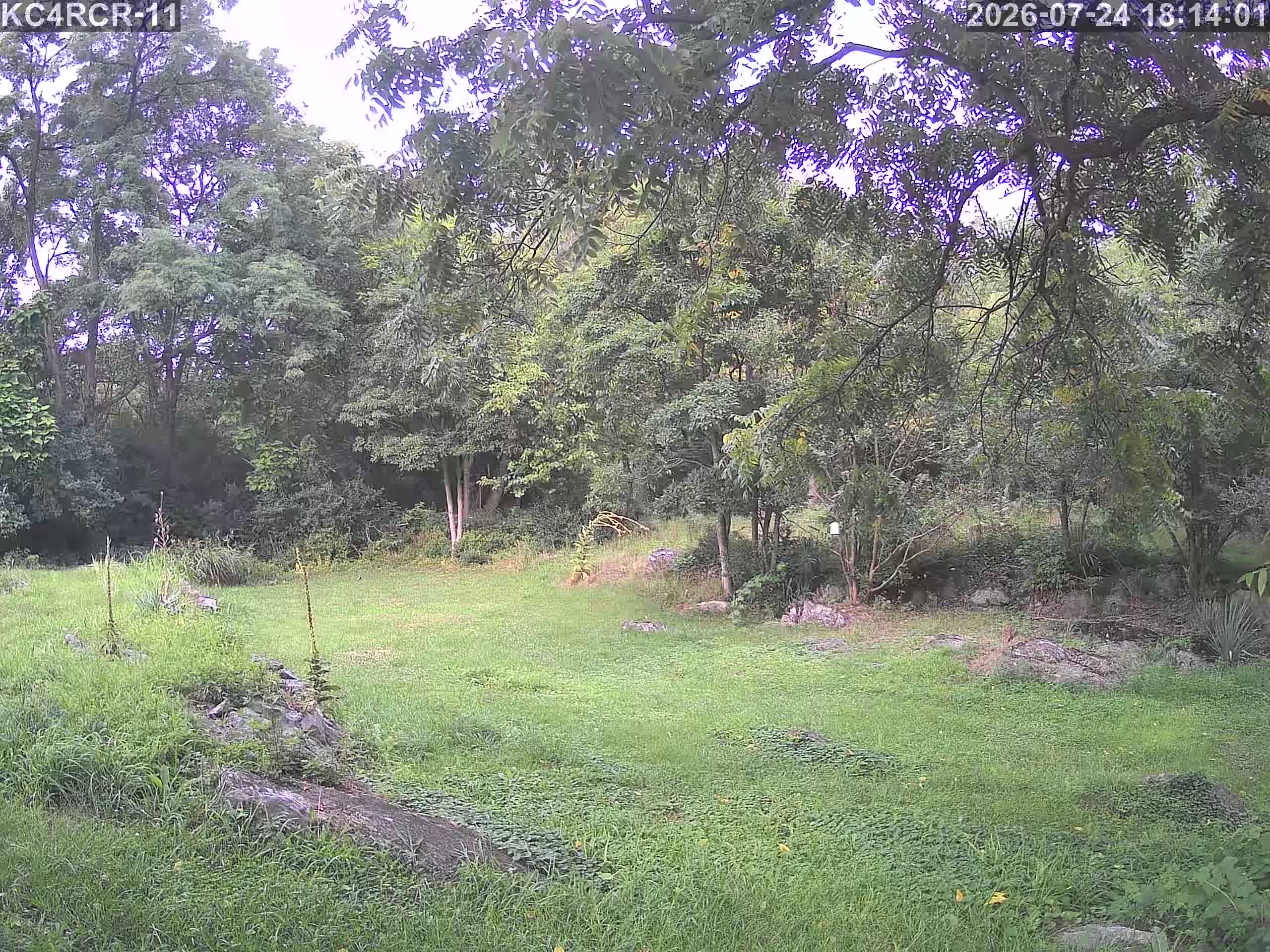 Outside camera view
