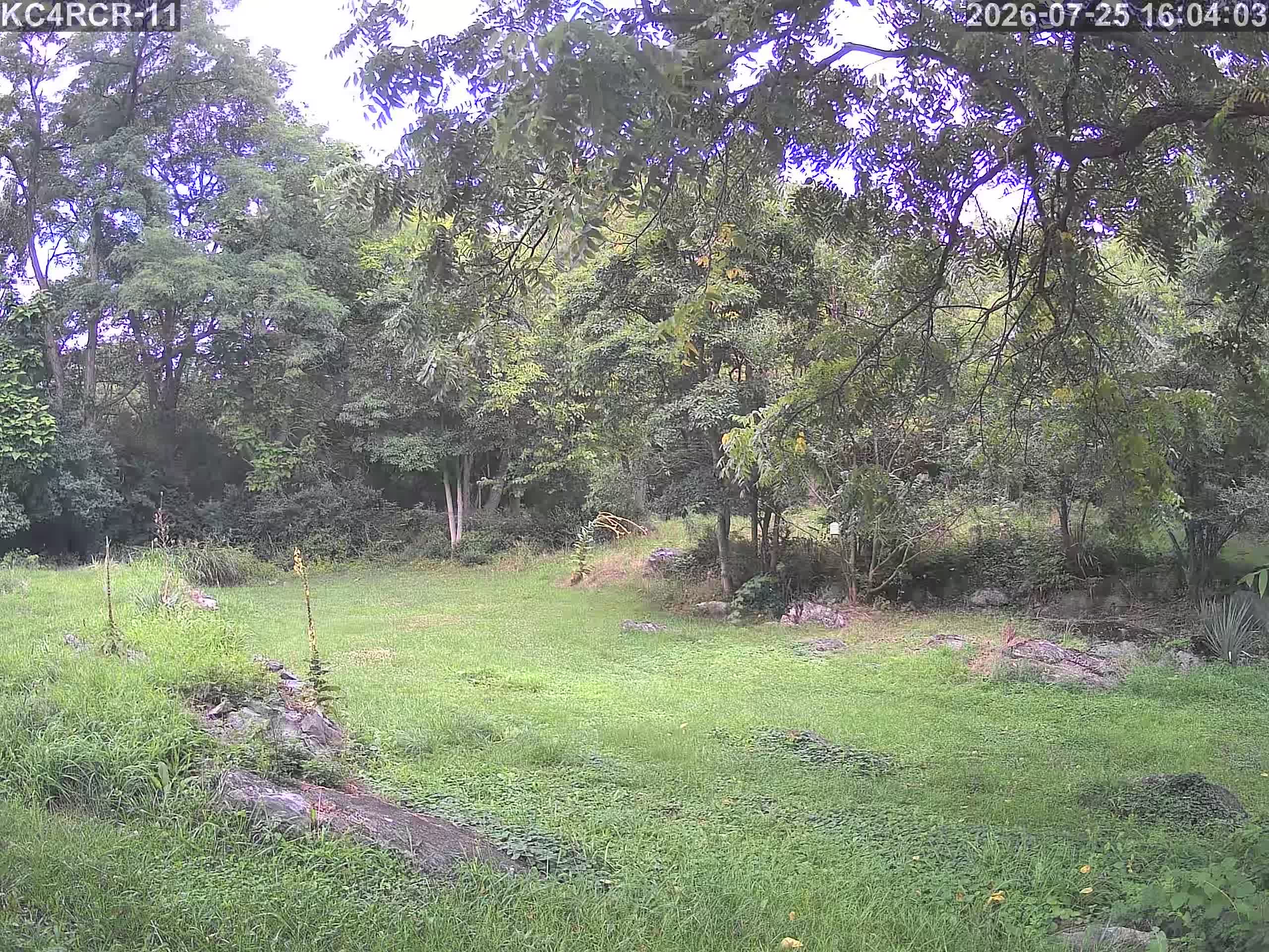 Outside camera view