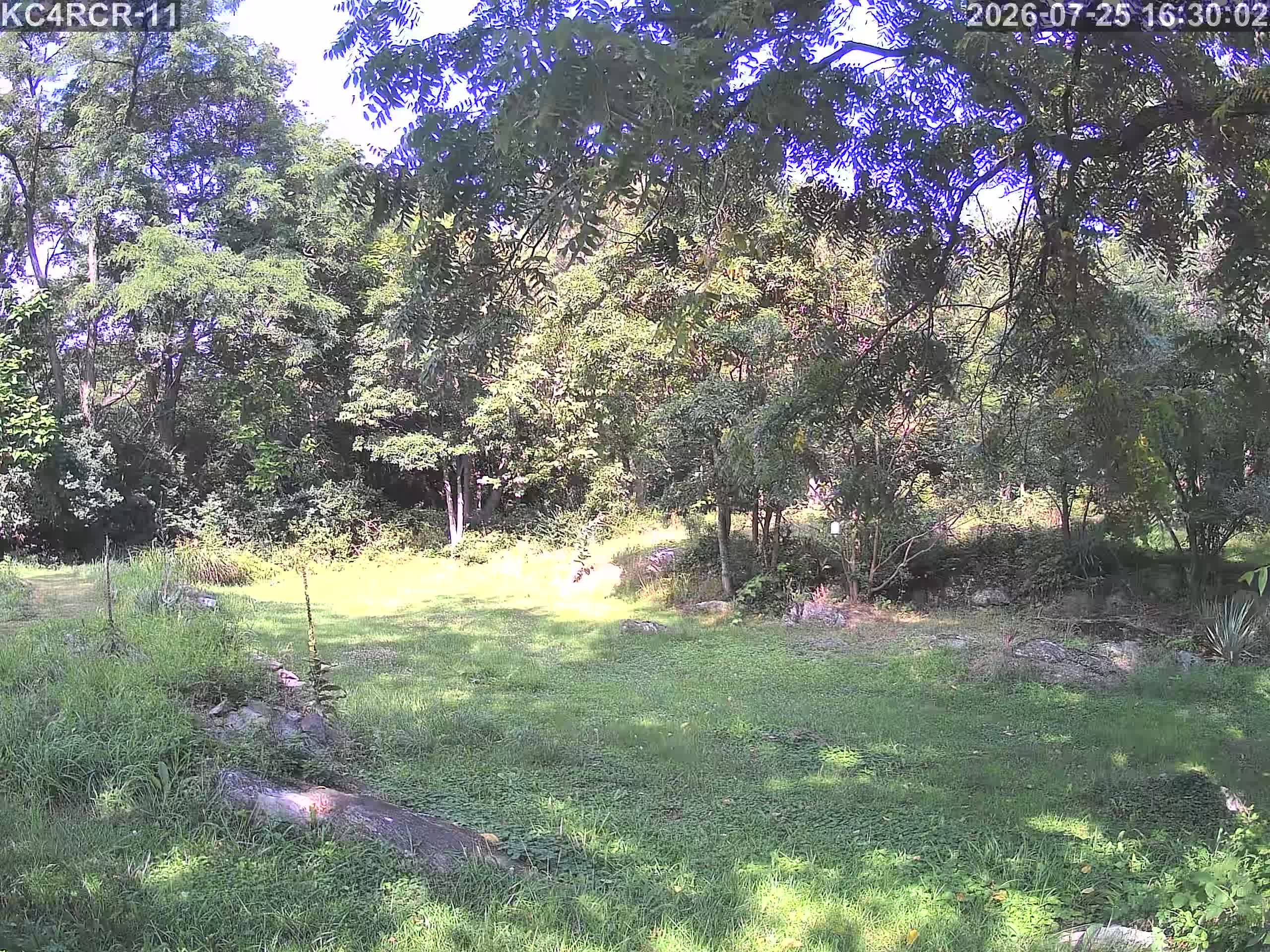 Outside camera view