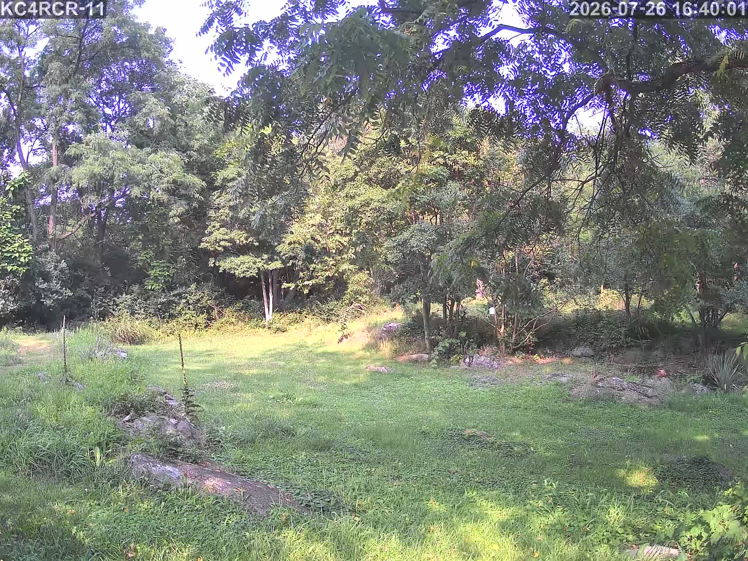 Outside camera view
