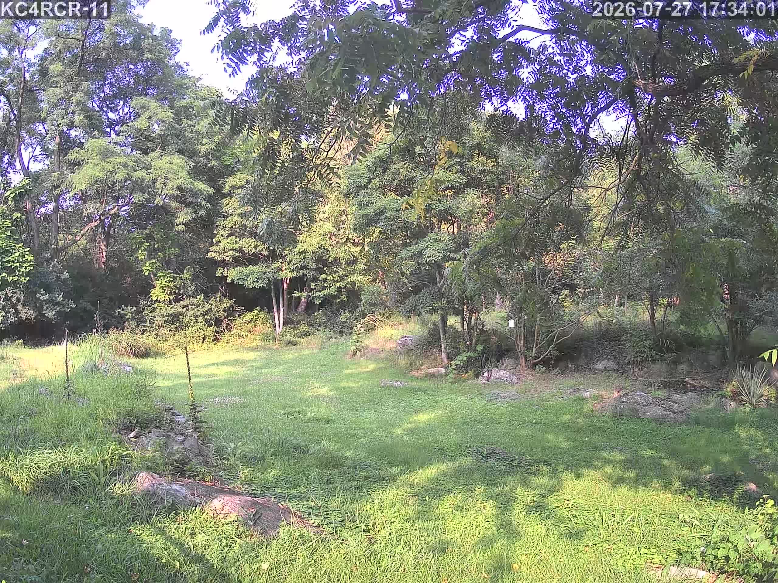 Outside camera view