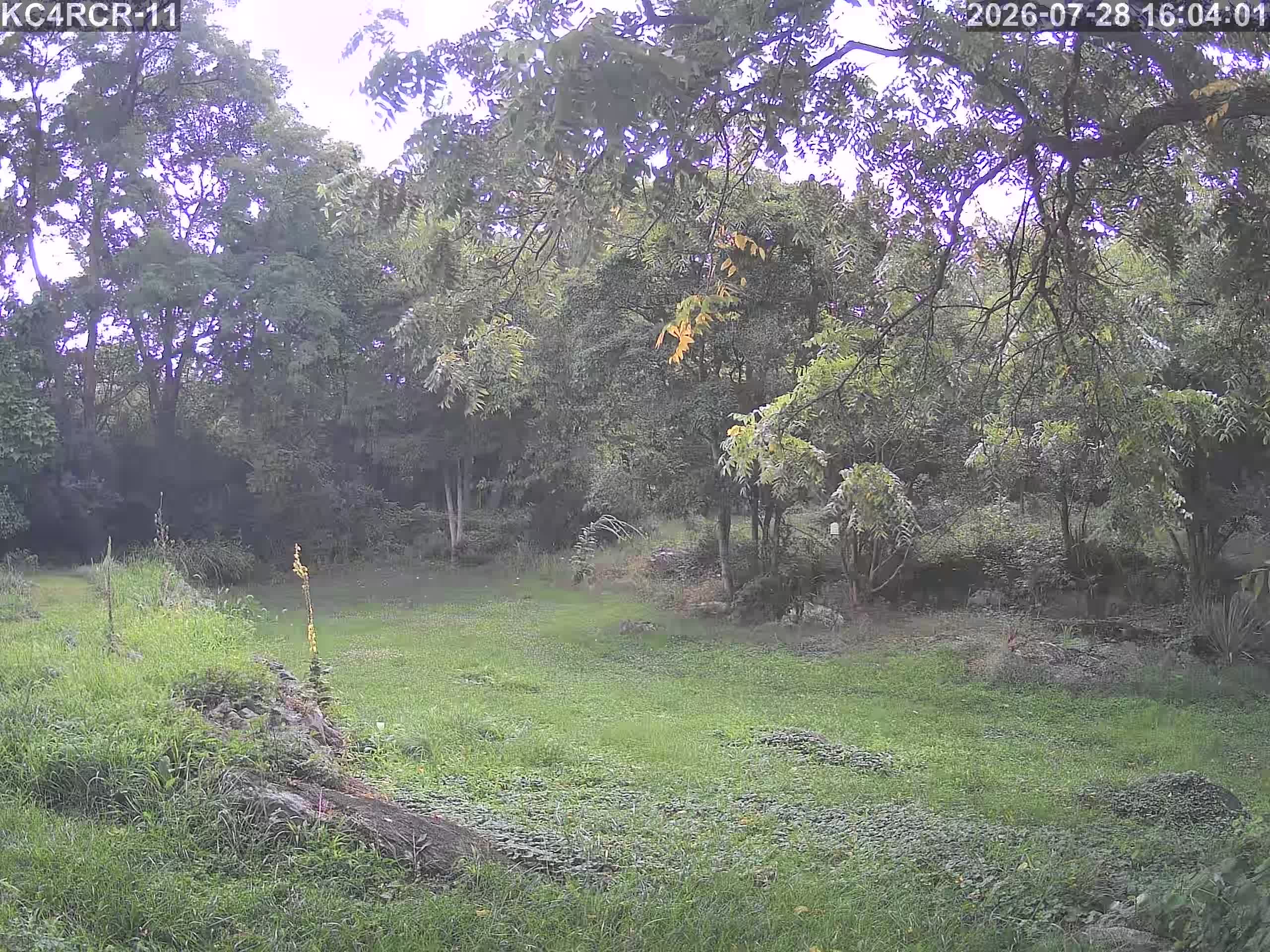 Outside camera view
