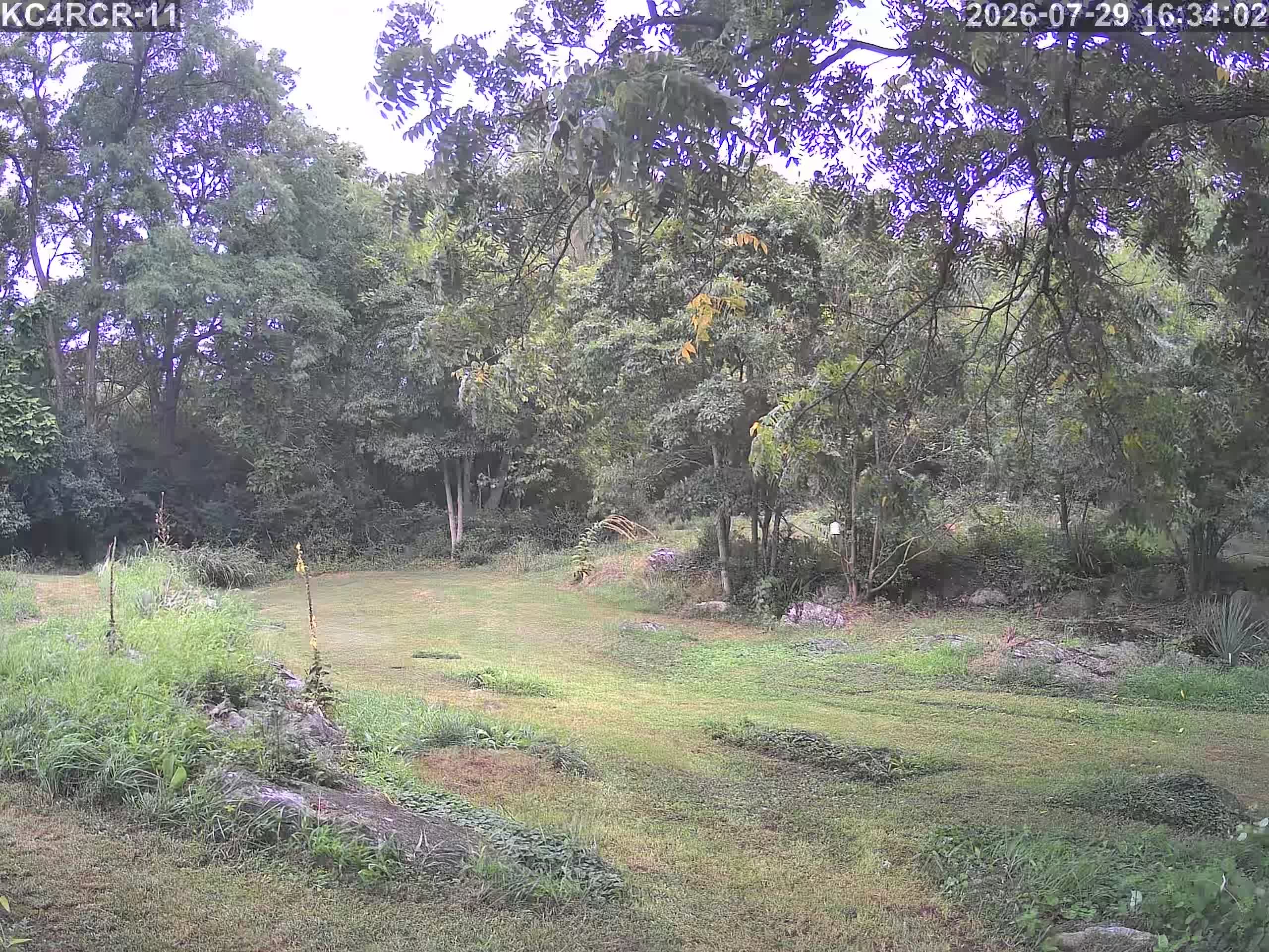 Outside camera view