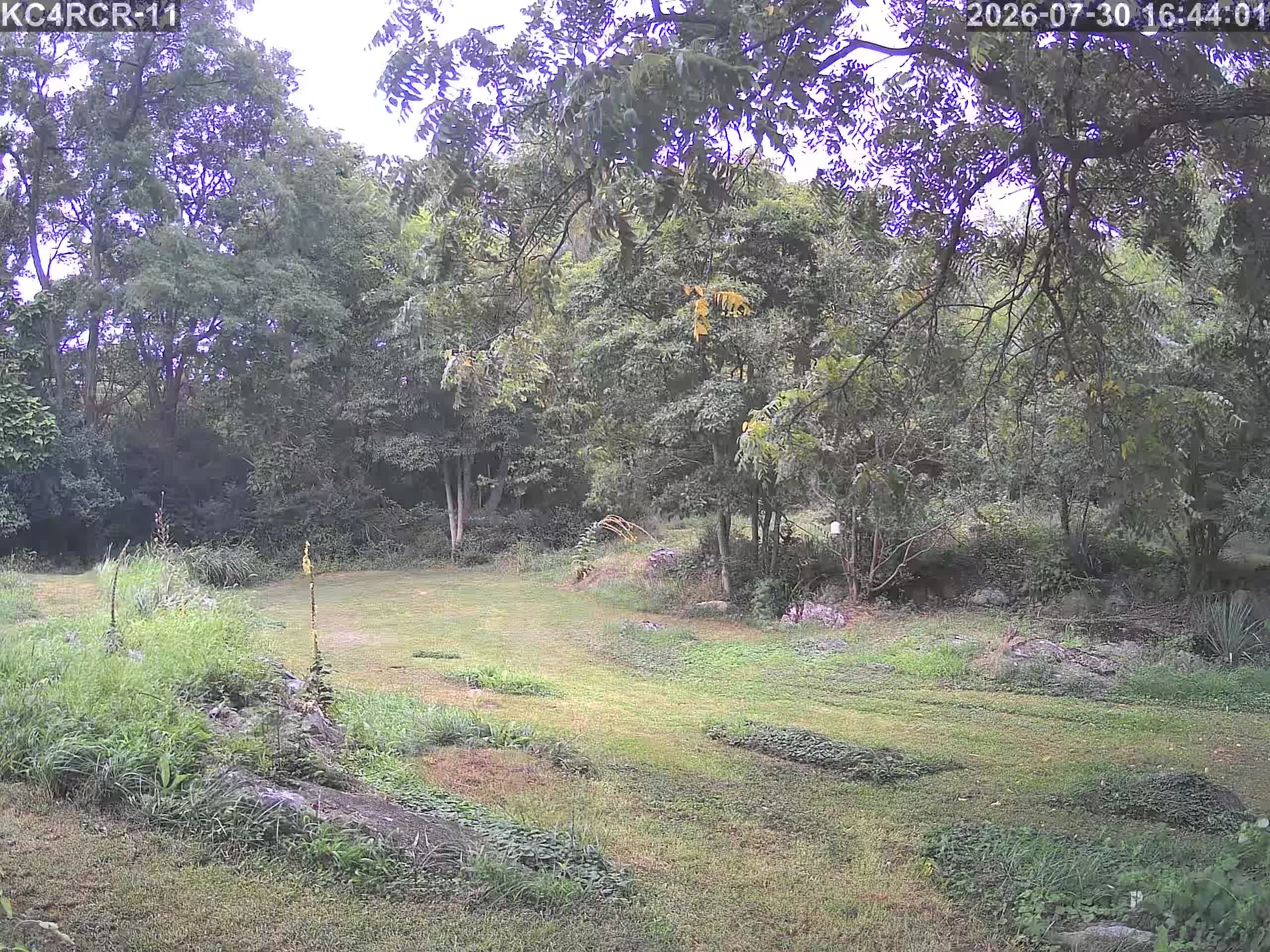 Outside camera view