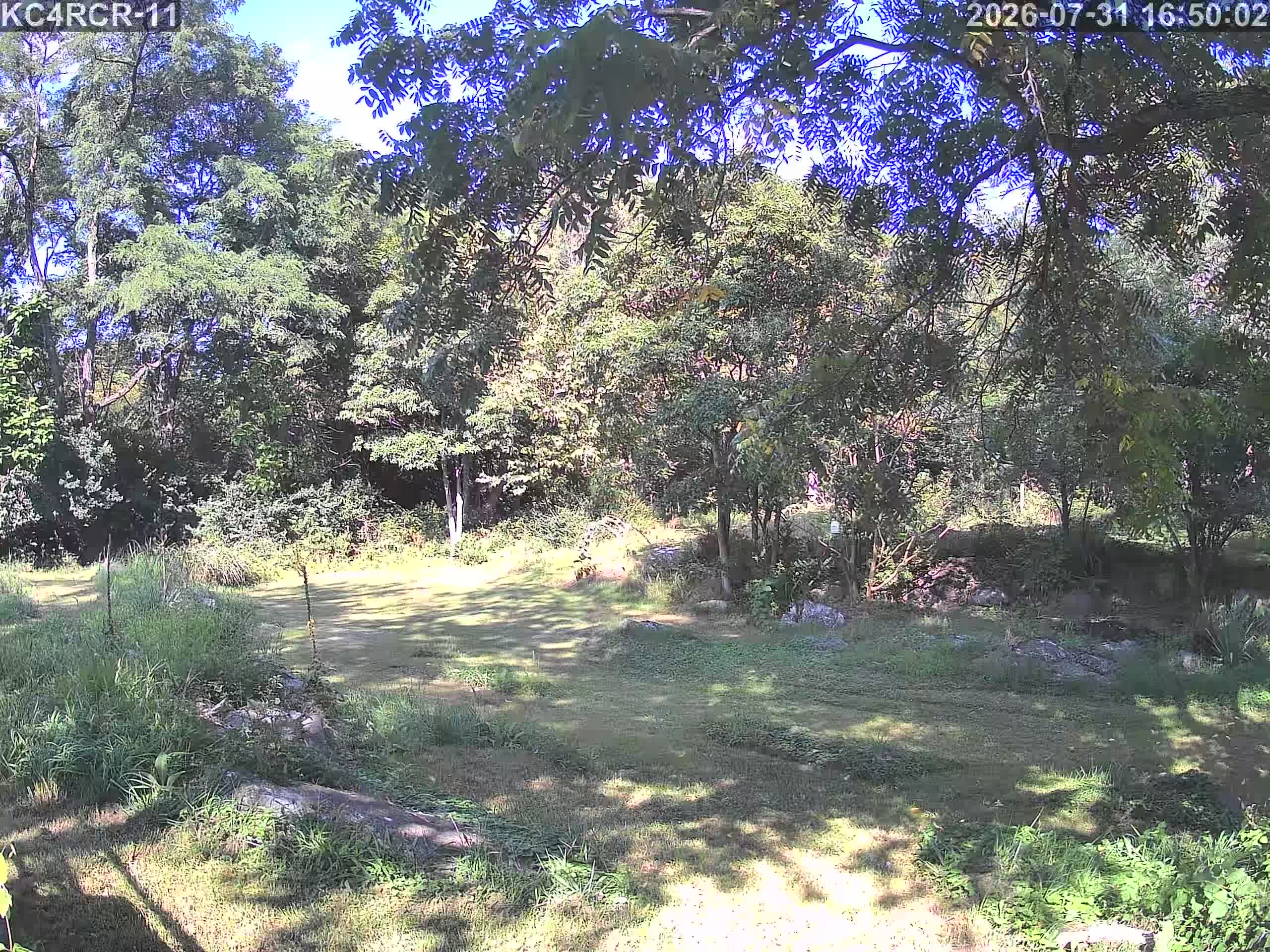 Outside camera view