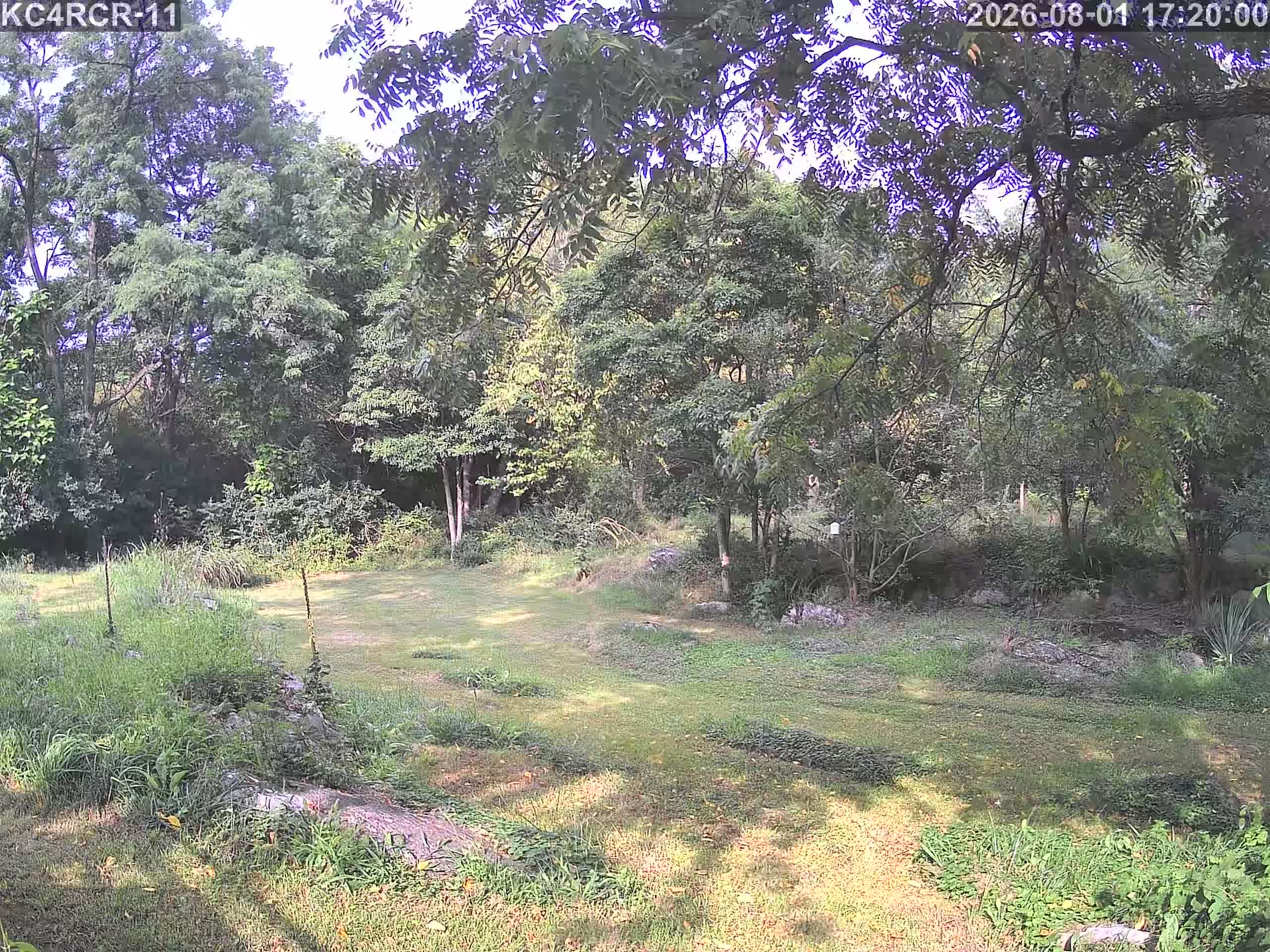 Outside camera view