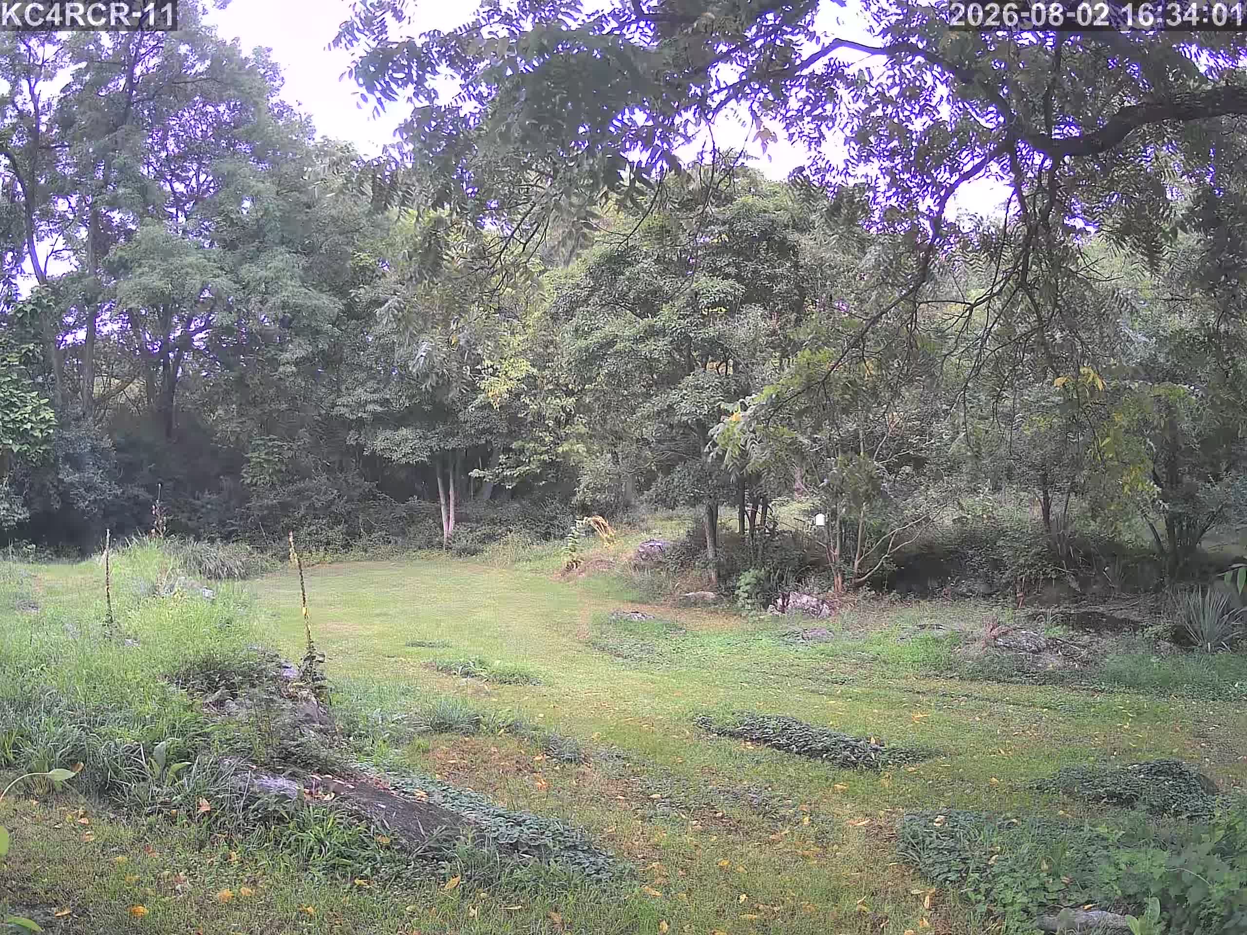 Outside camera view