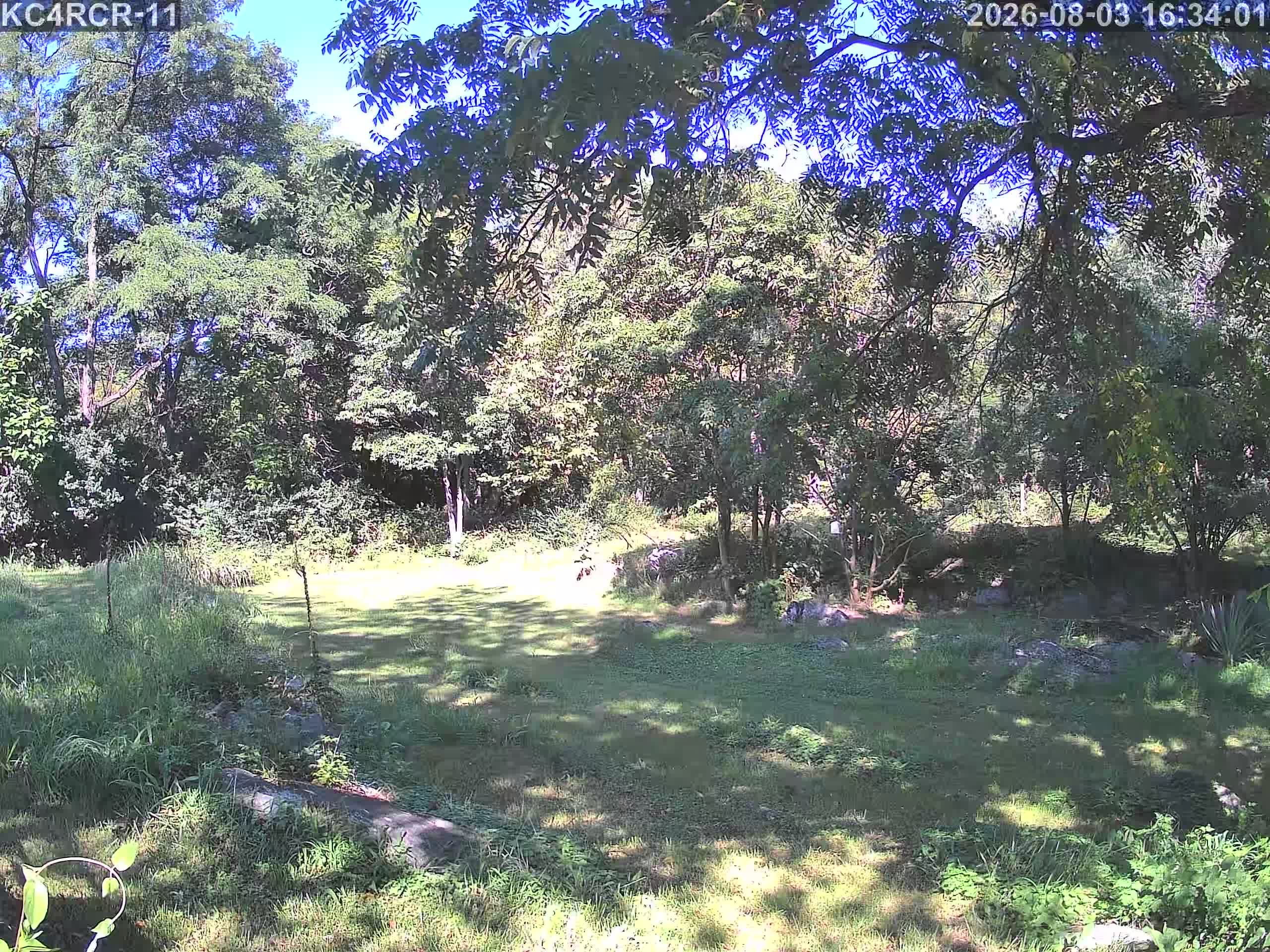 Outside camera view