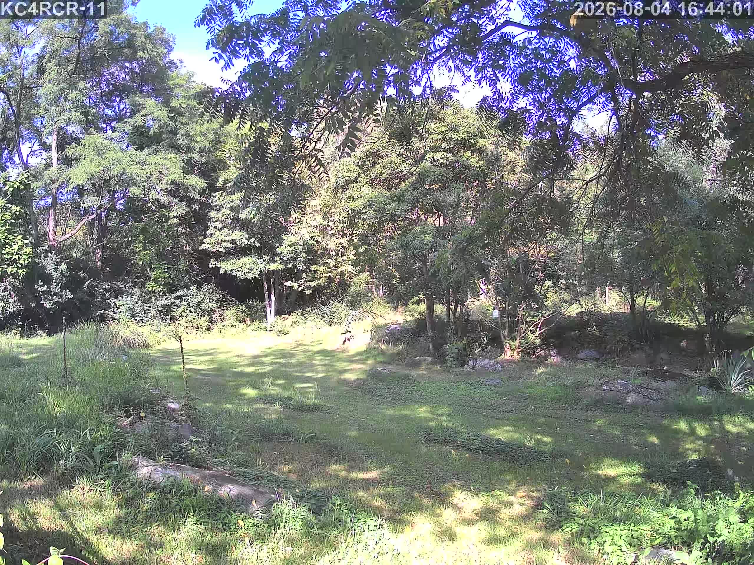 Outside camera view
