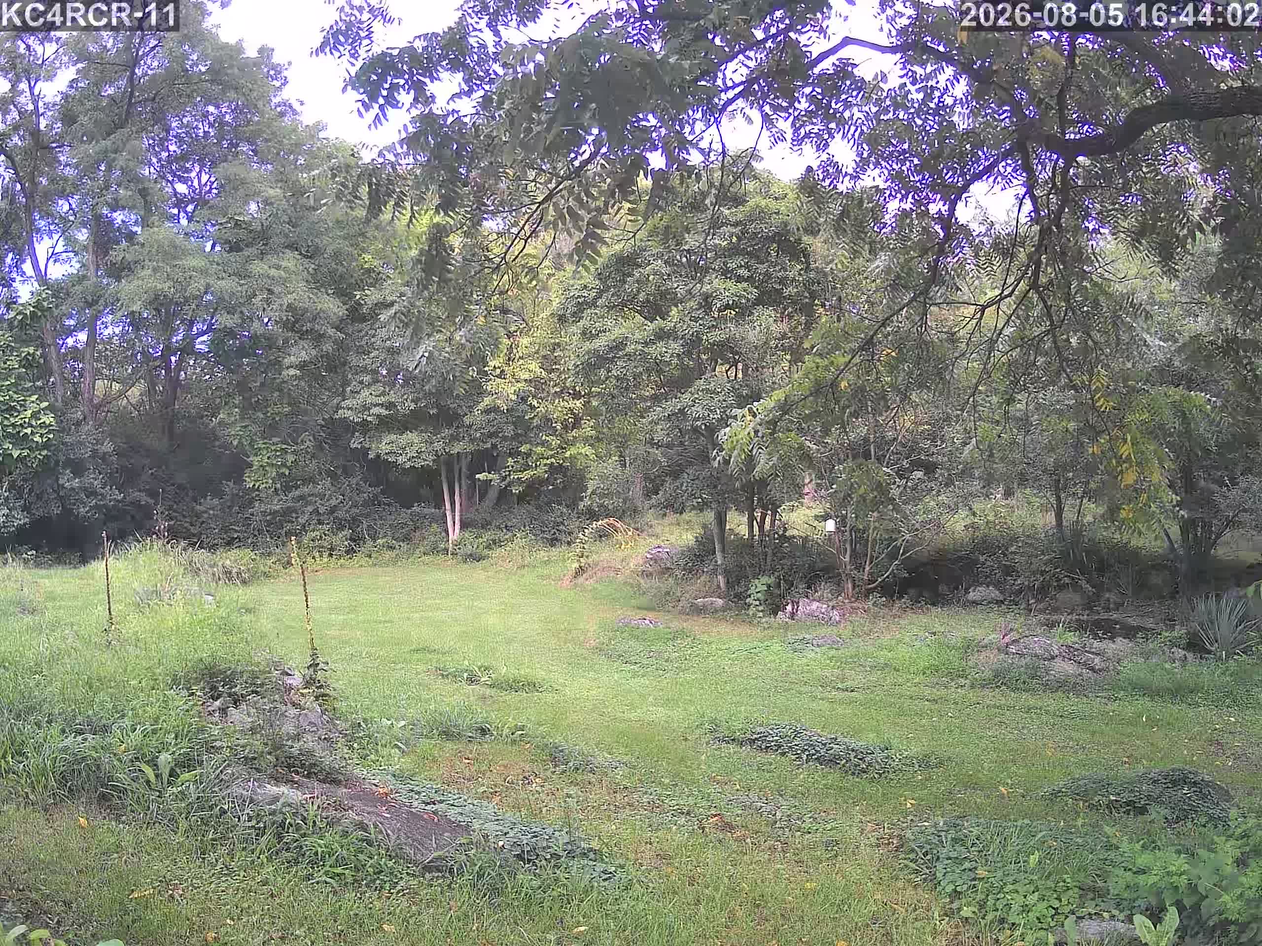 Outside camera view