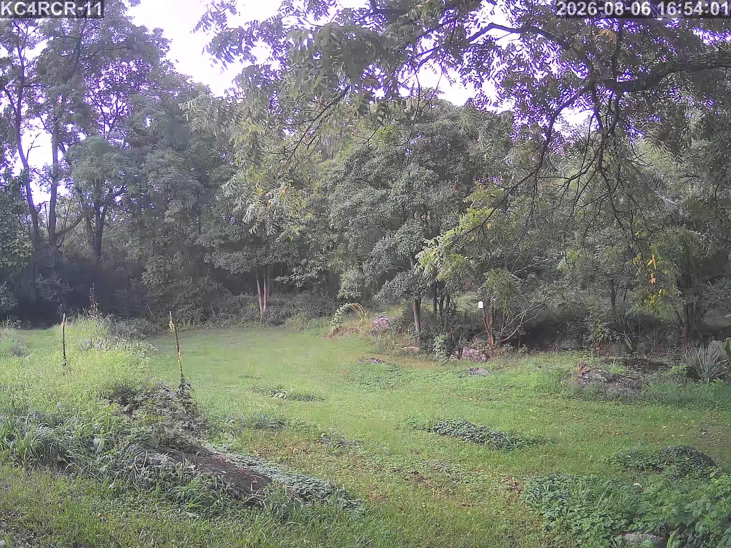 Outside camera view