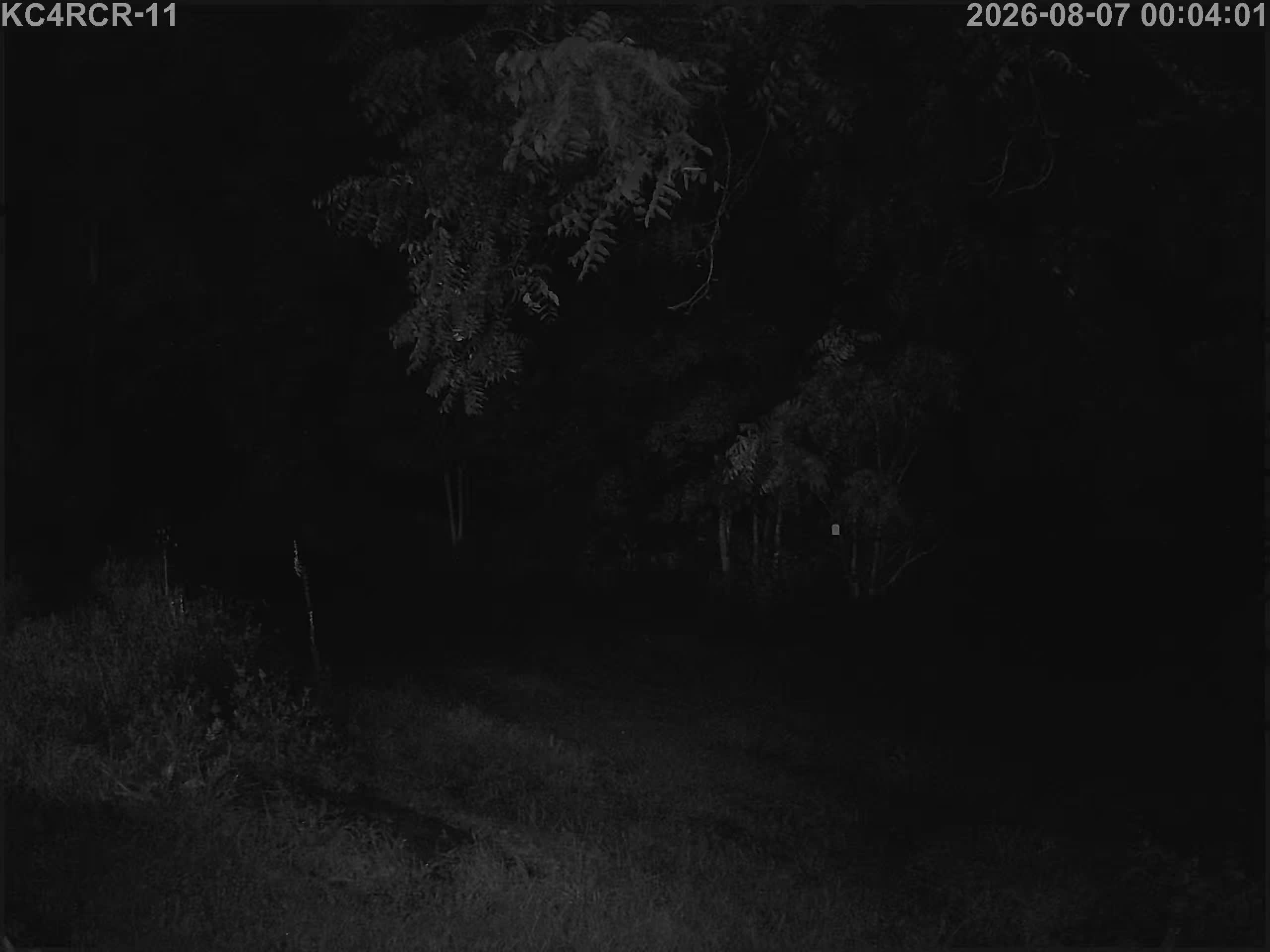 Outside camera view