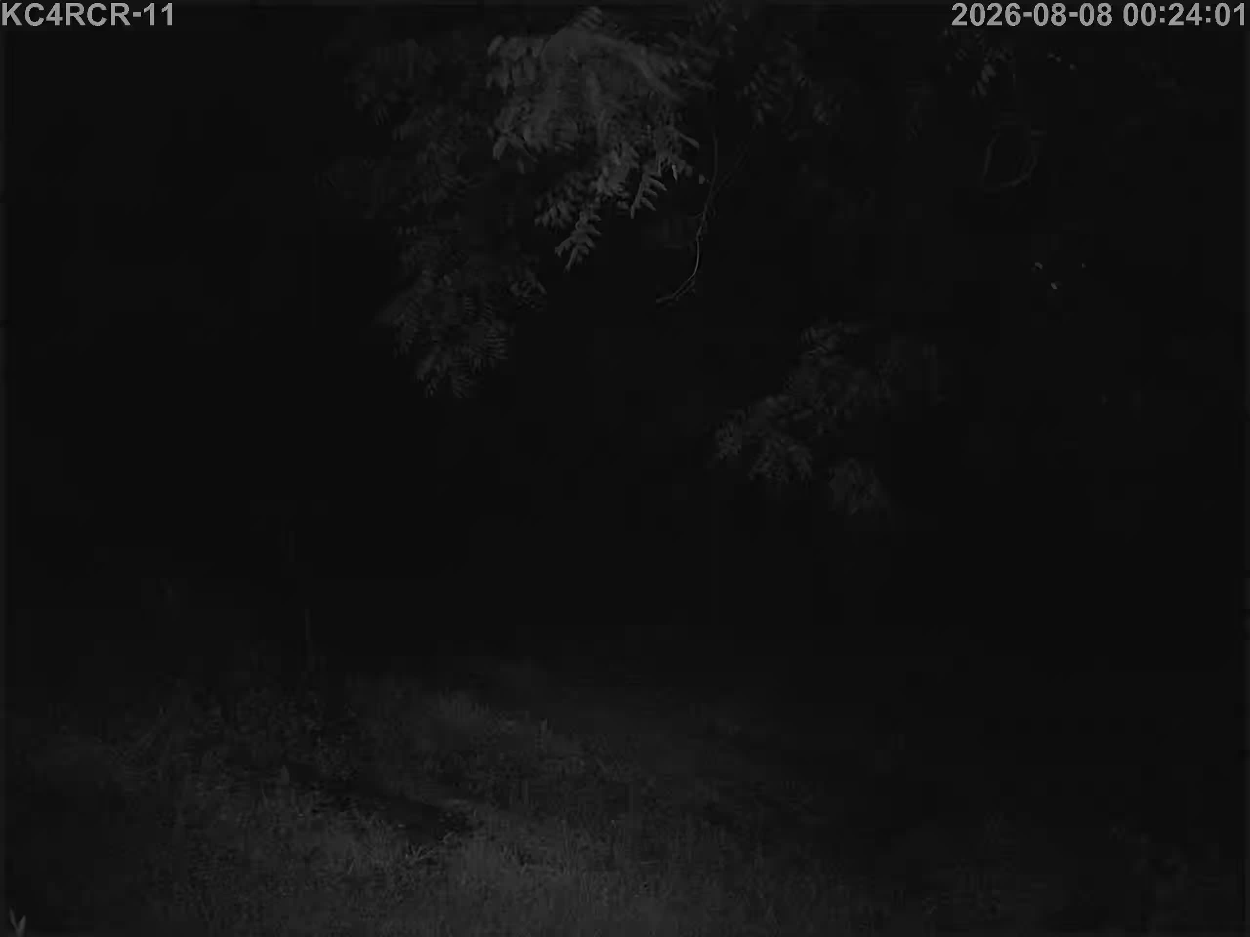 Outside camera view