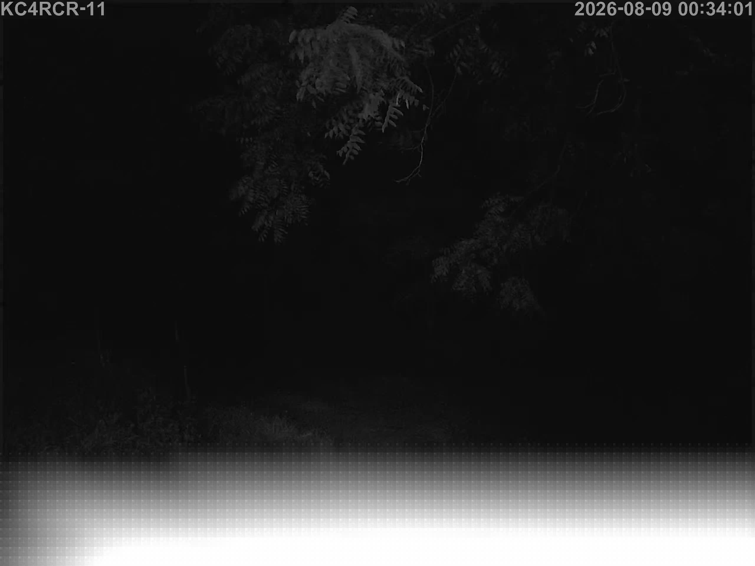 Outside camera view