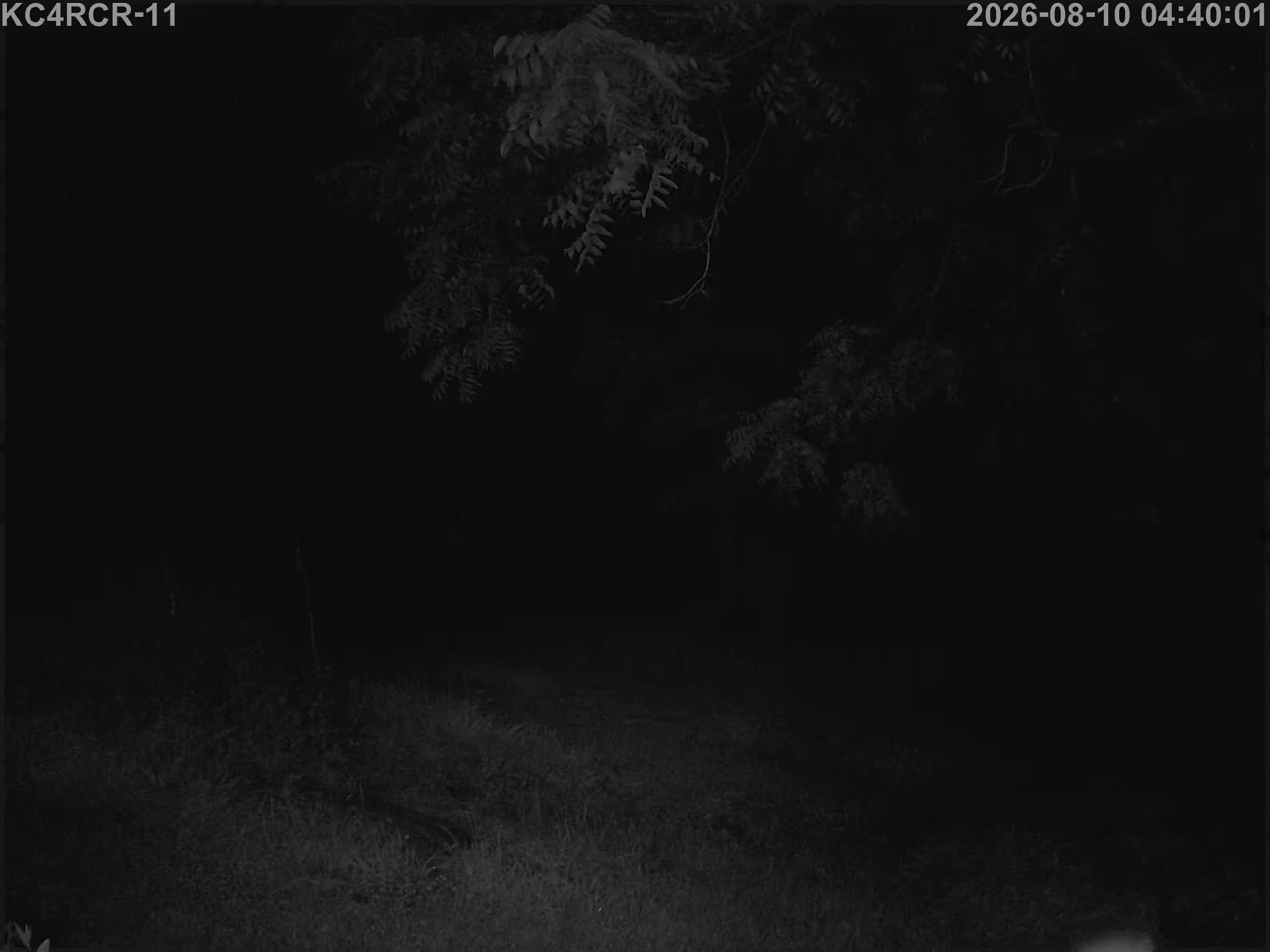 Outside camera view