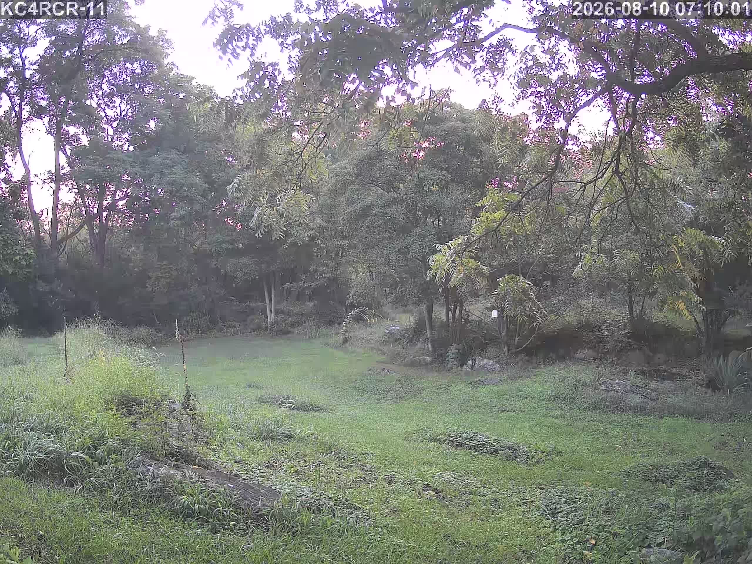 Outside camera view