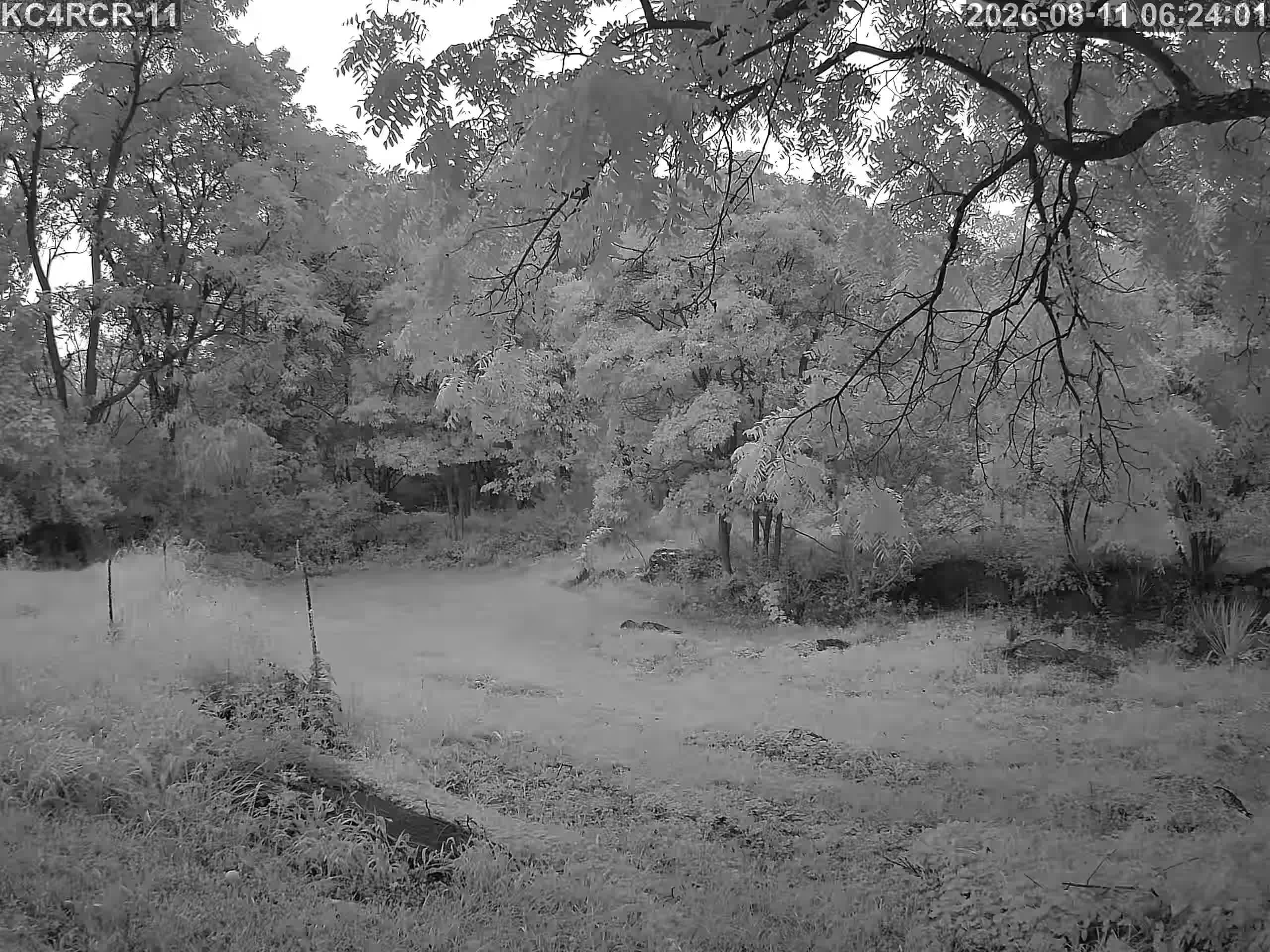Outside camera view