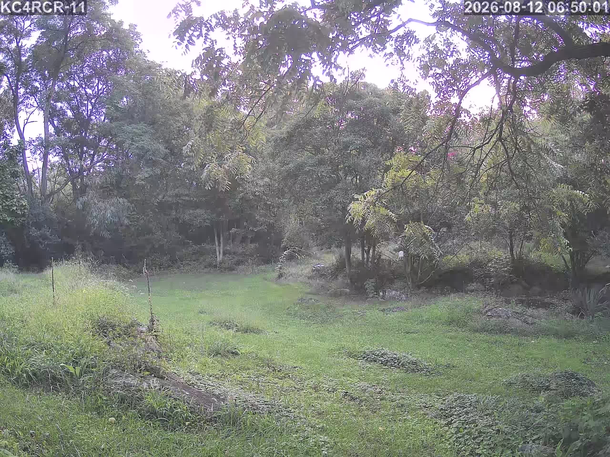 Outside camera view