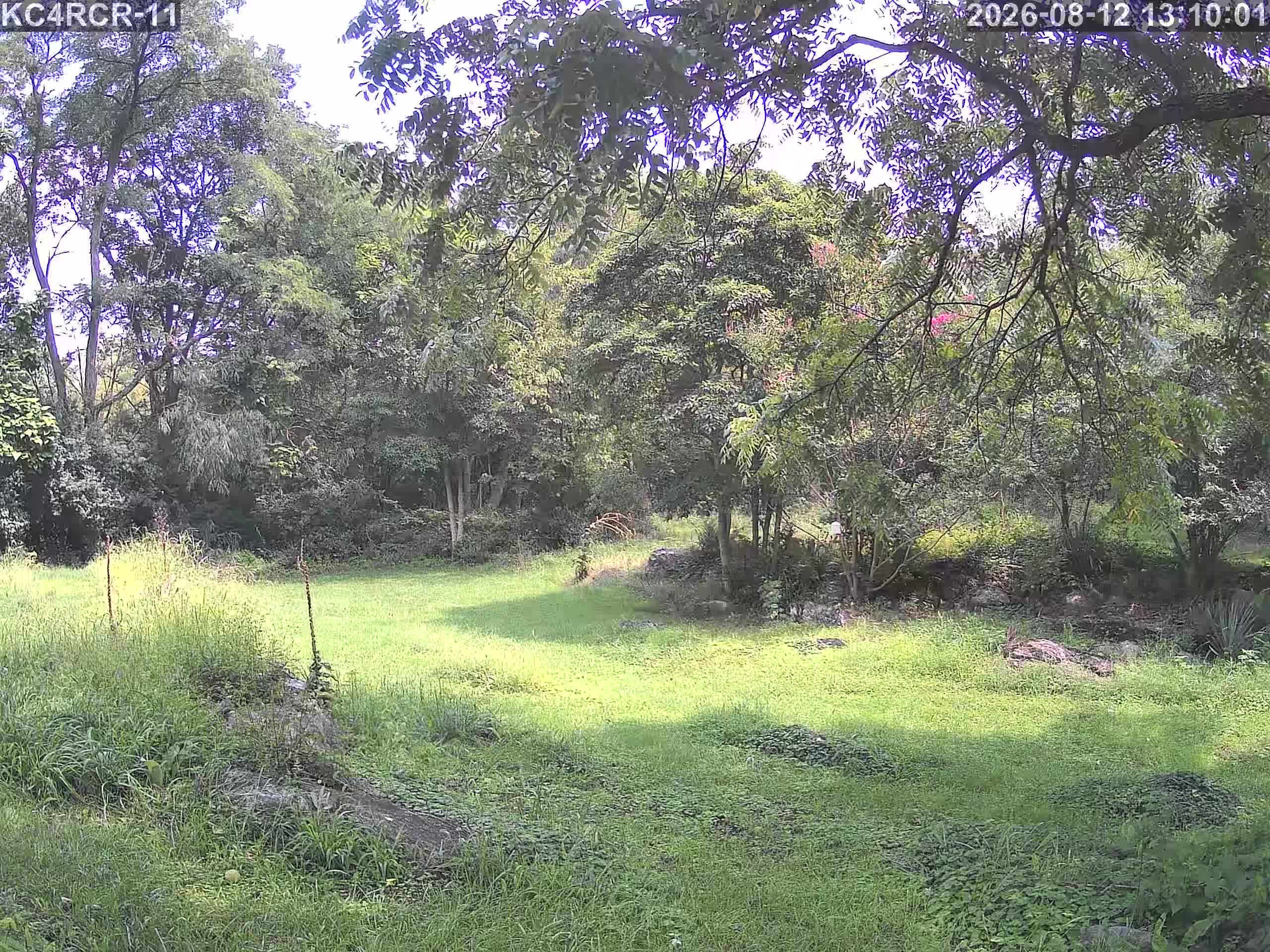 Outside camera view