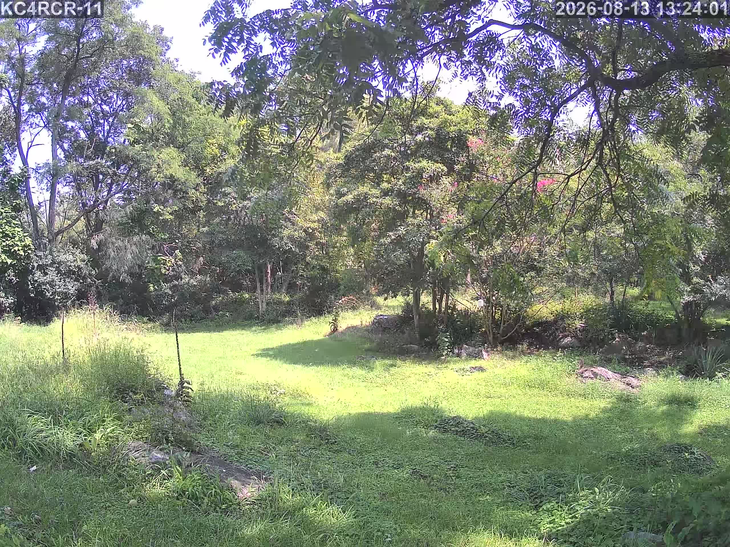 Outside camera view