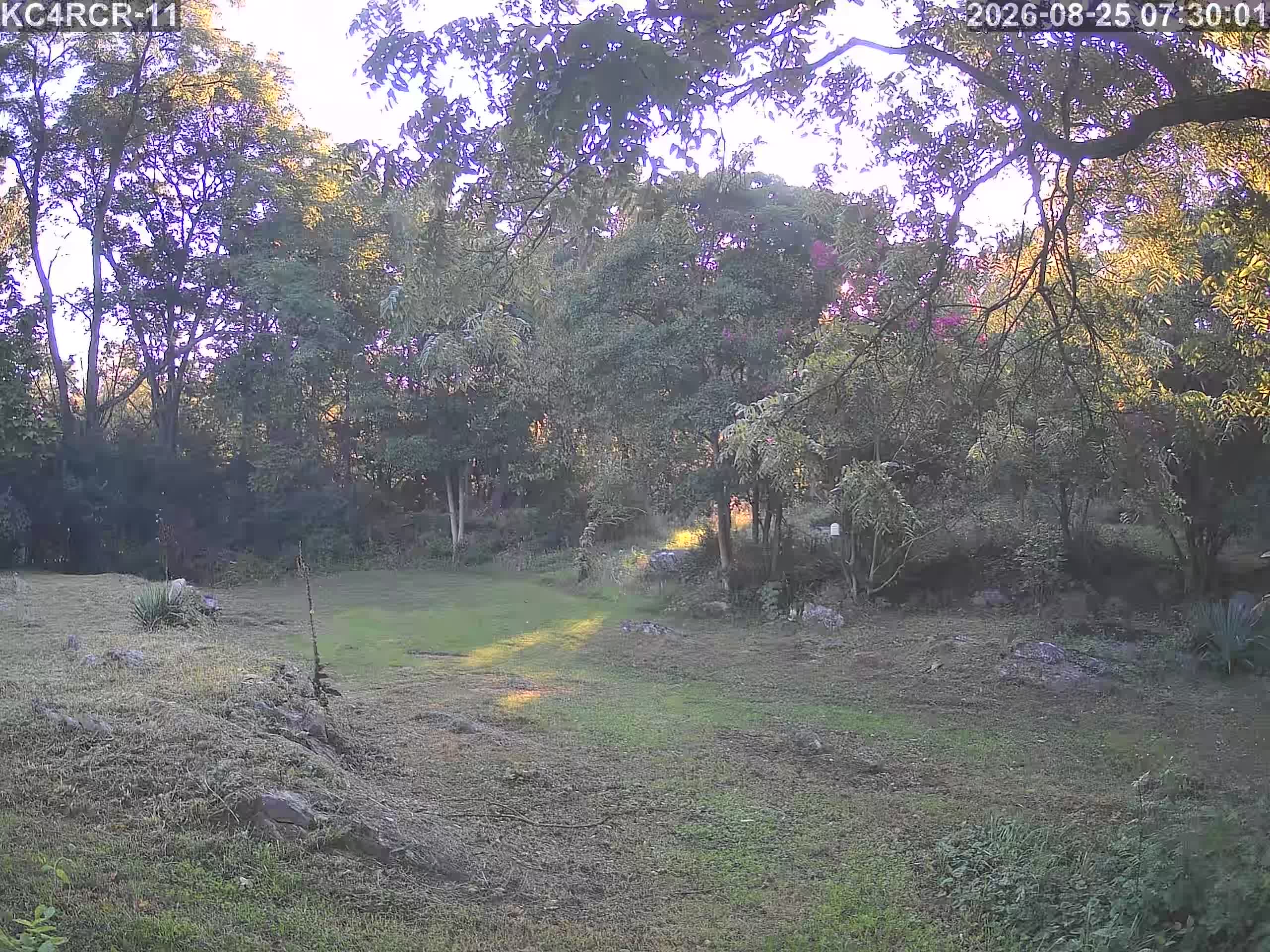 Outside camera view
