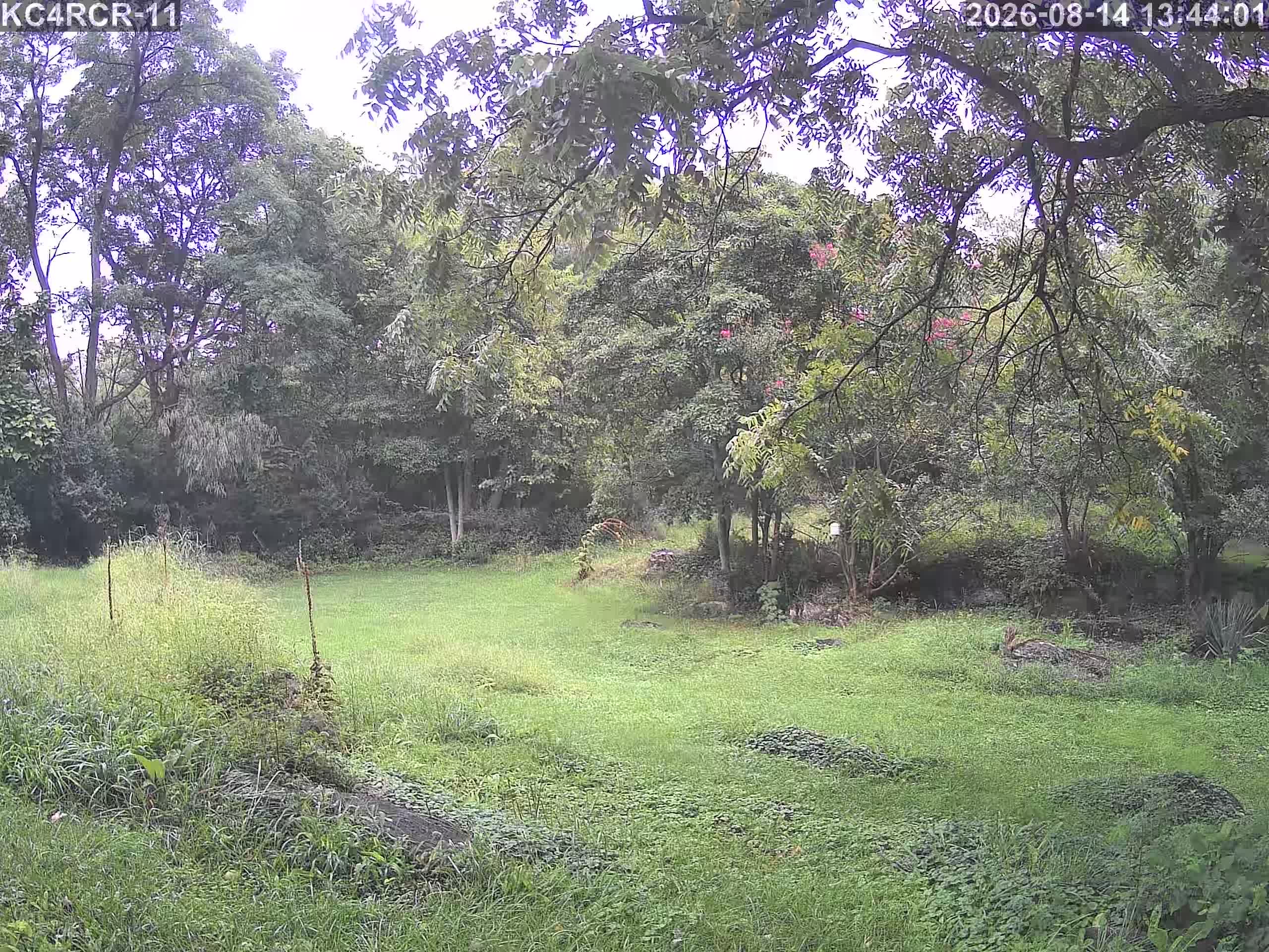 Outside camera view