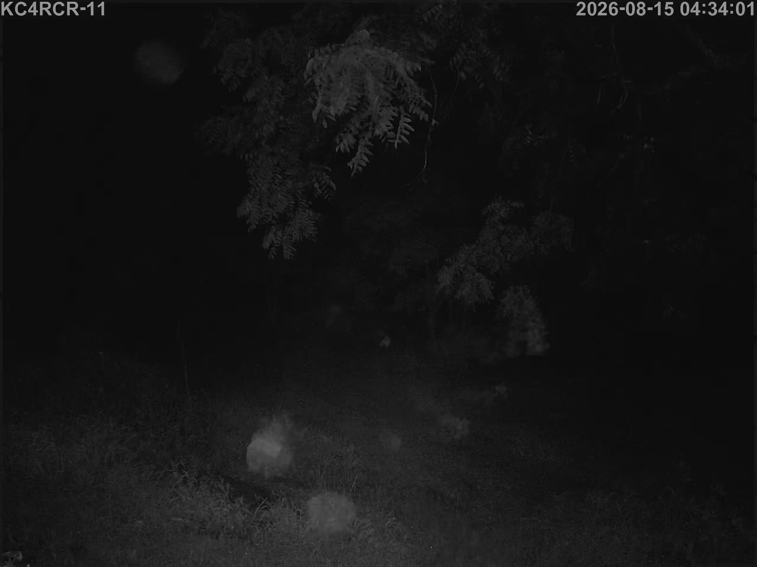 Outside camera view