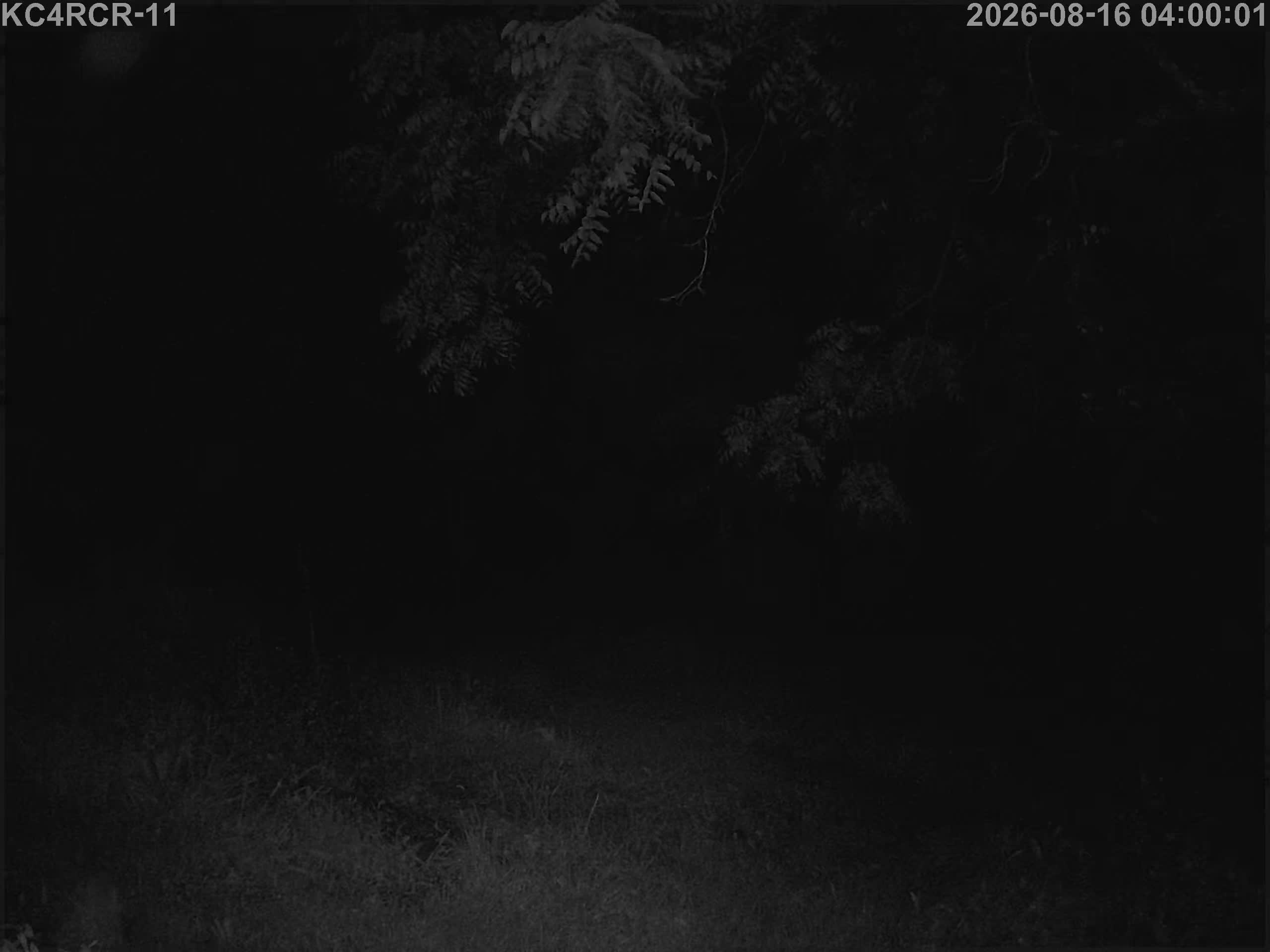 Outside camera view