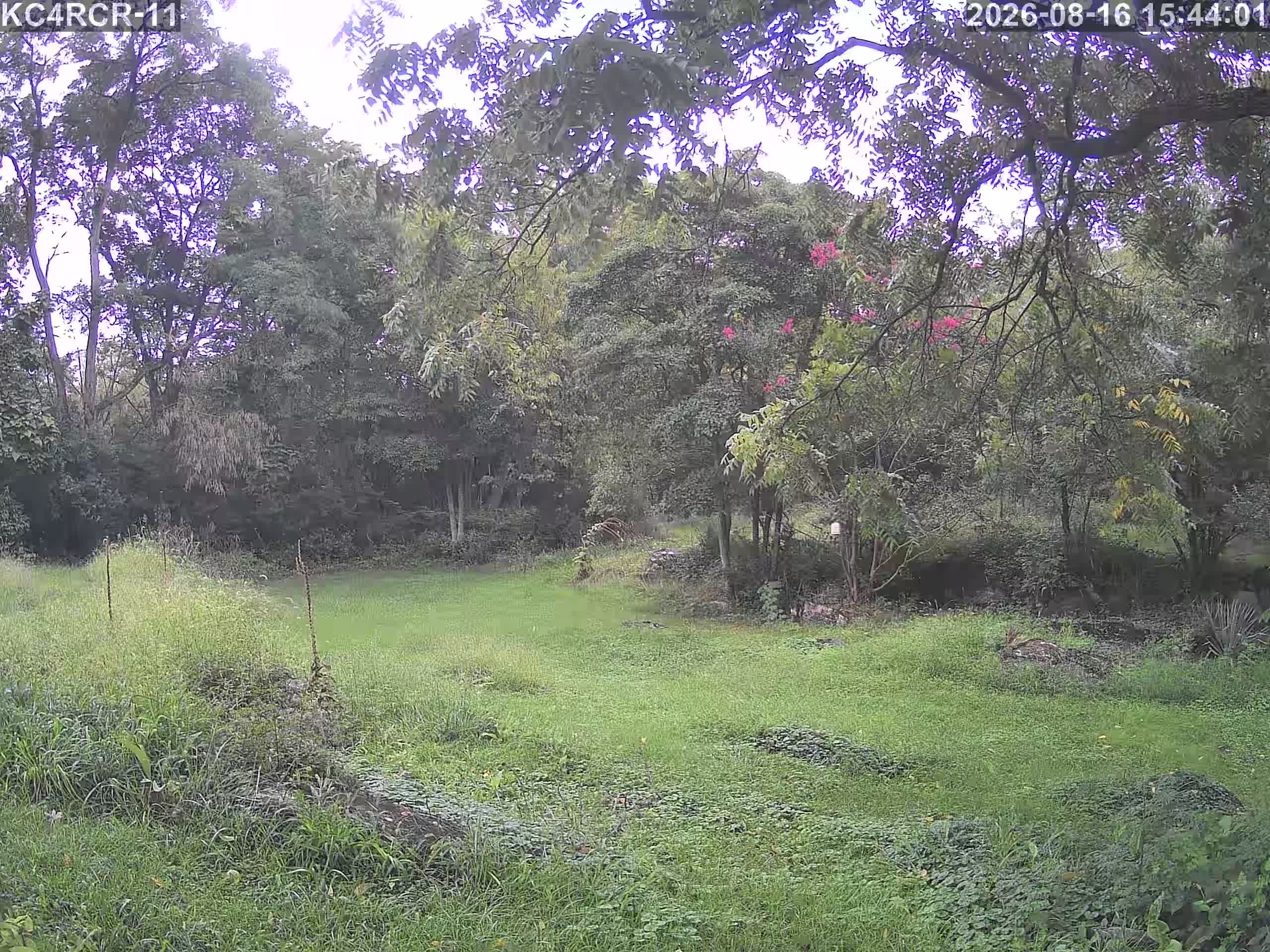 Outside camera view