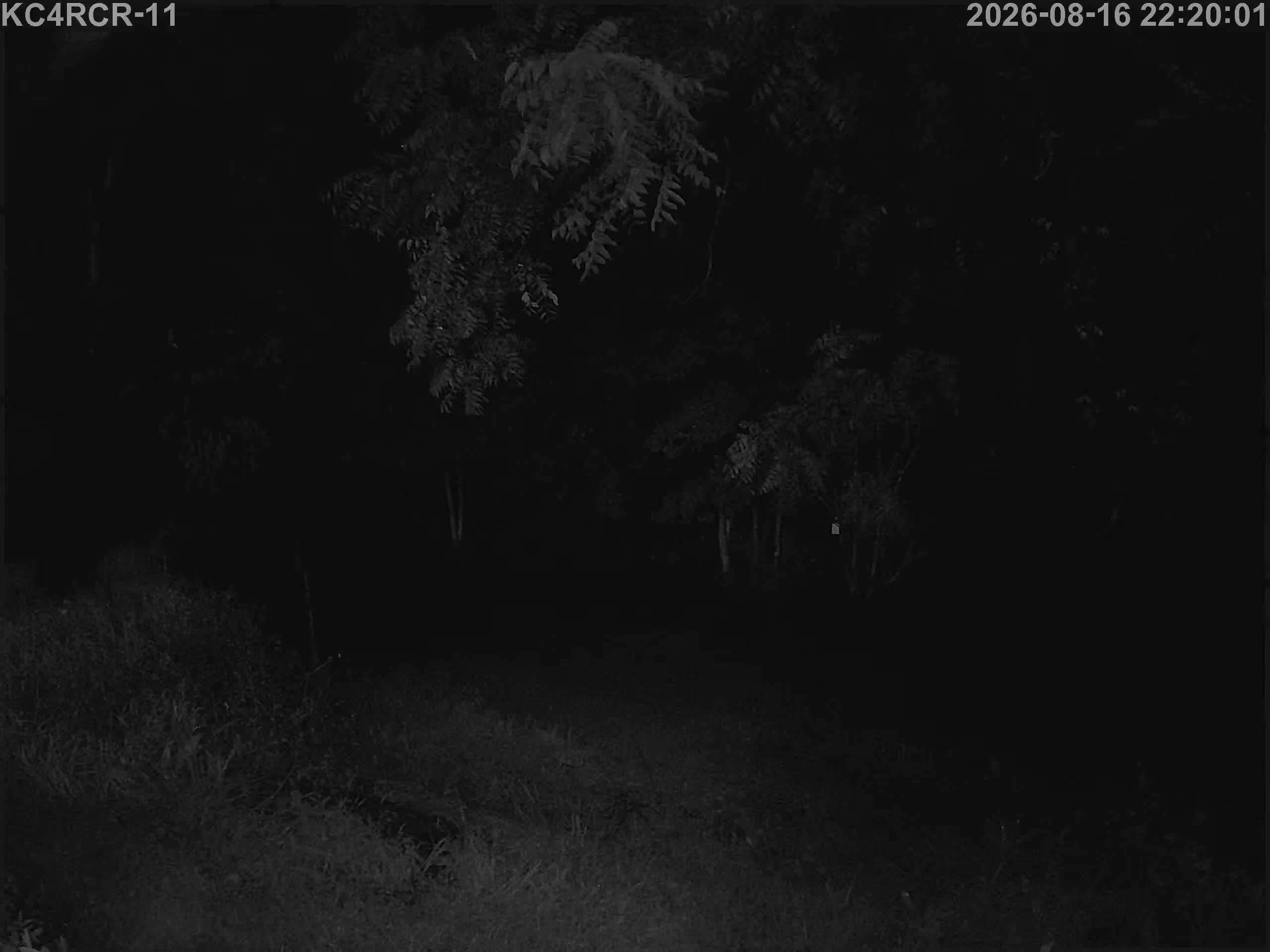 Outside camera view