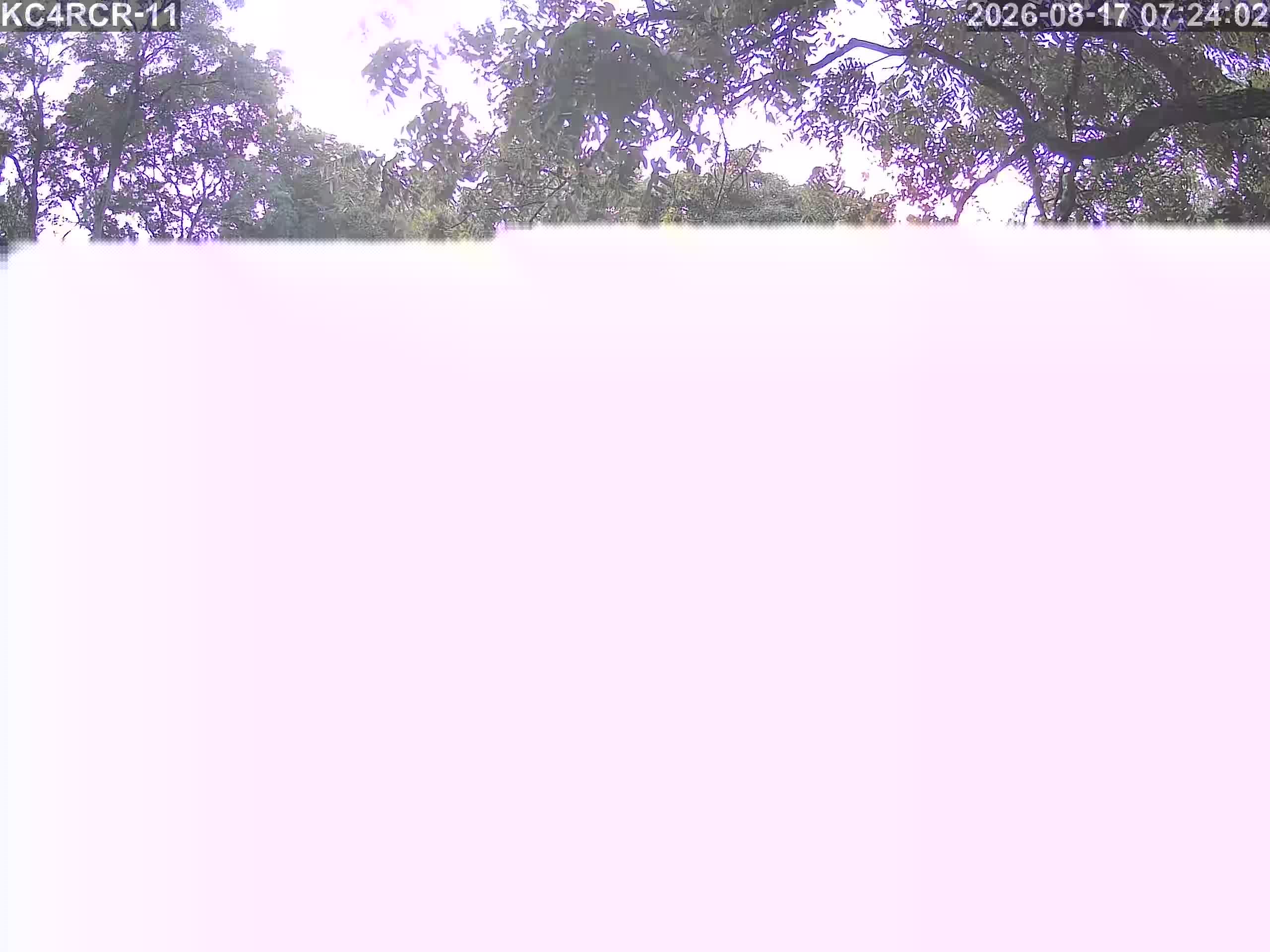 Outside camera view