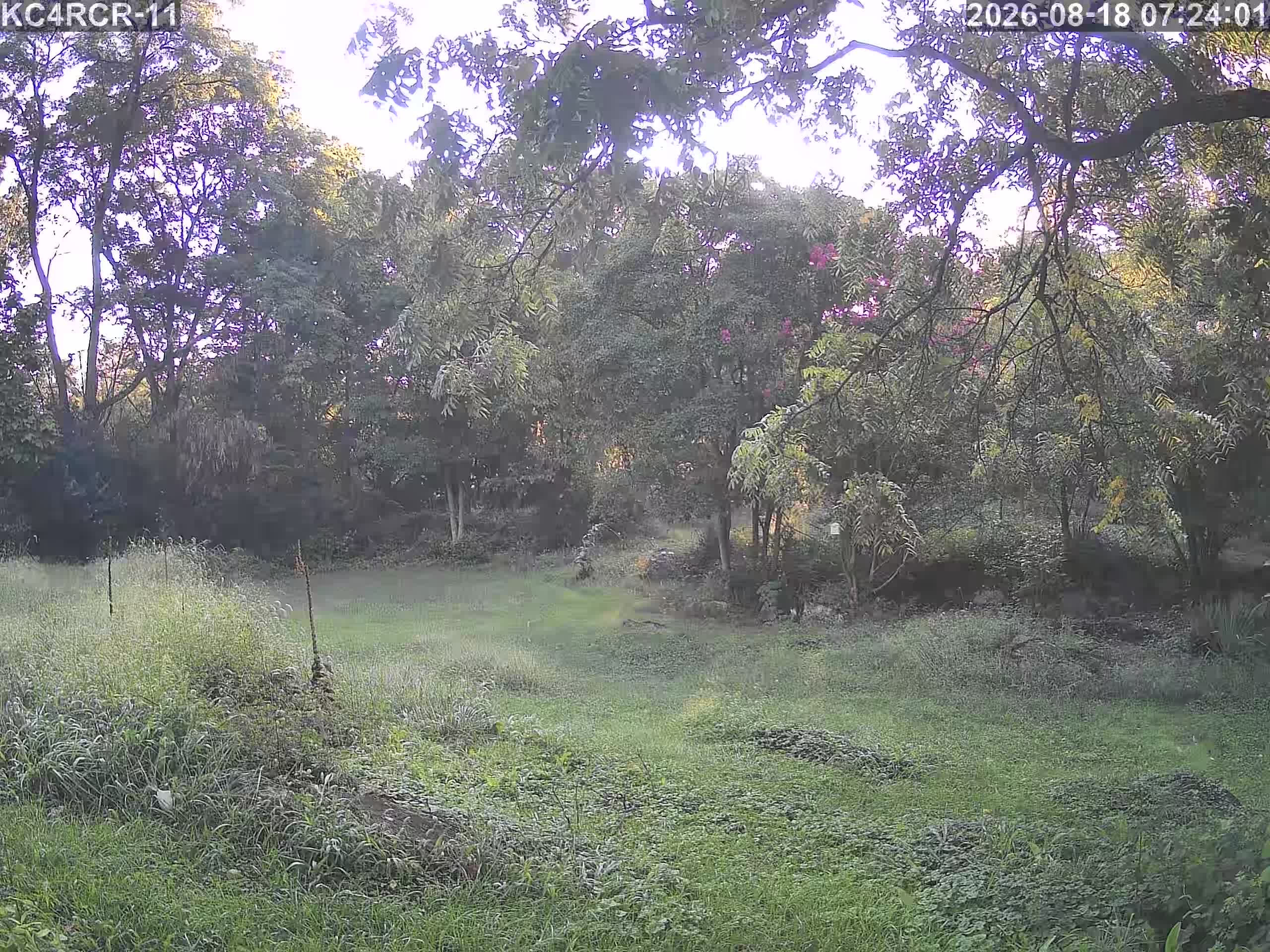 Outside camera view