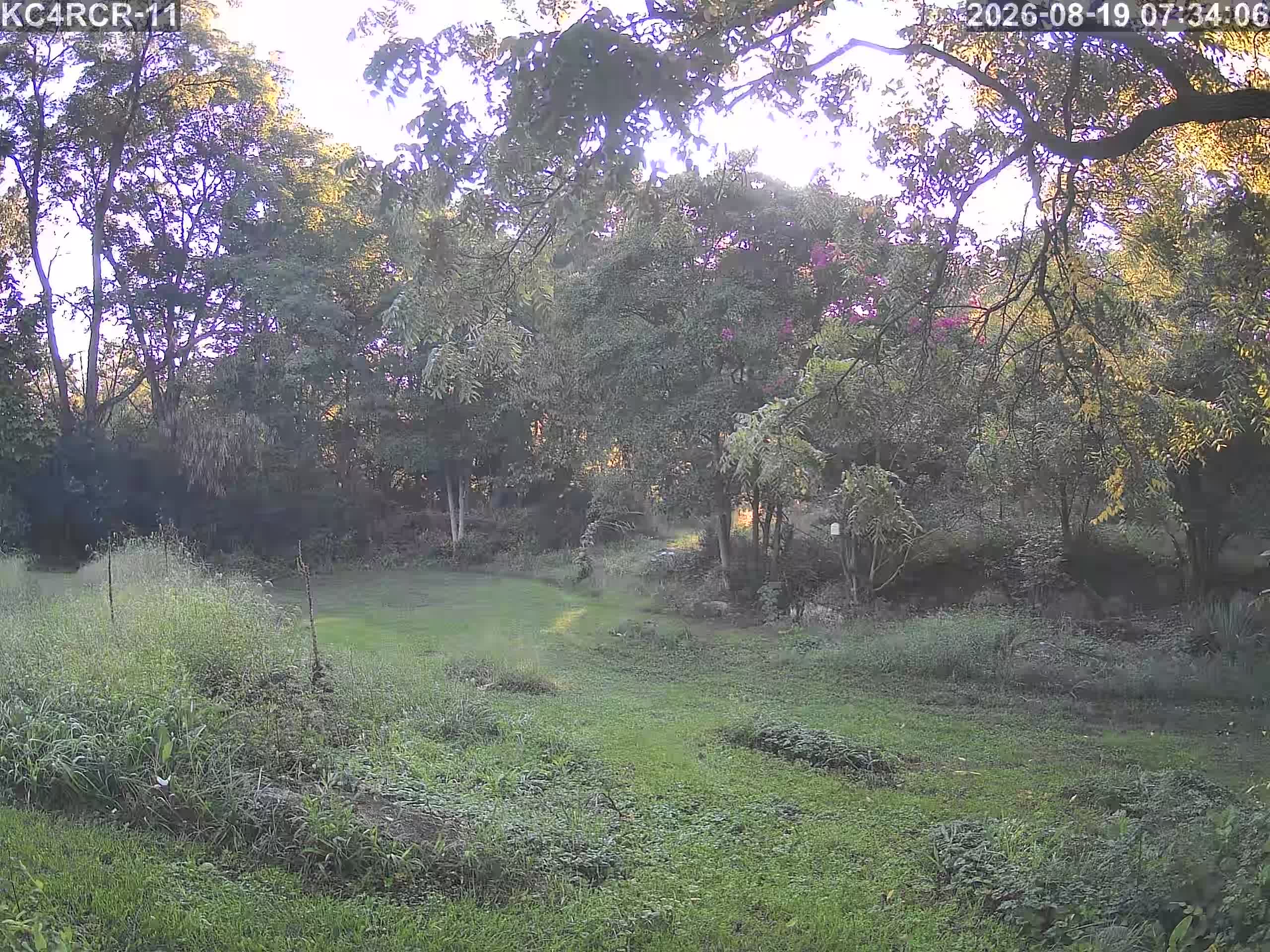 Outside camera view